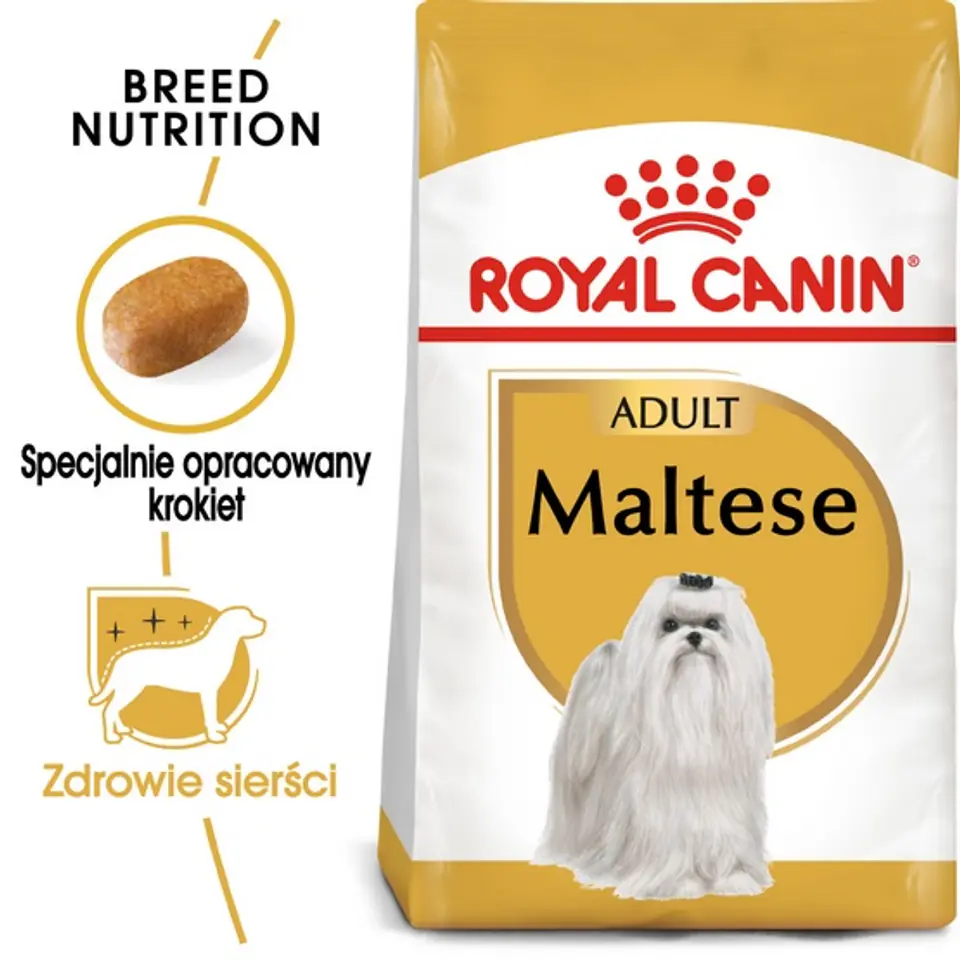 Royal Canin Maltese Adult karma sucha dla psów dorosłych rasy