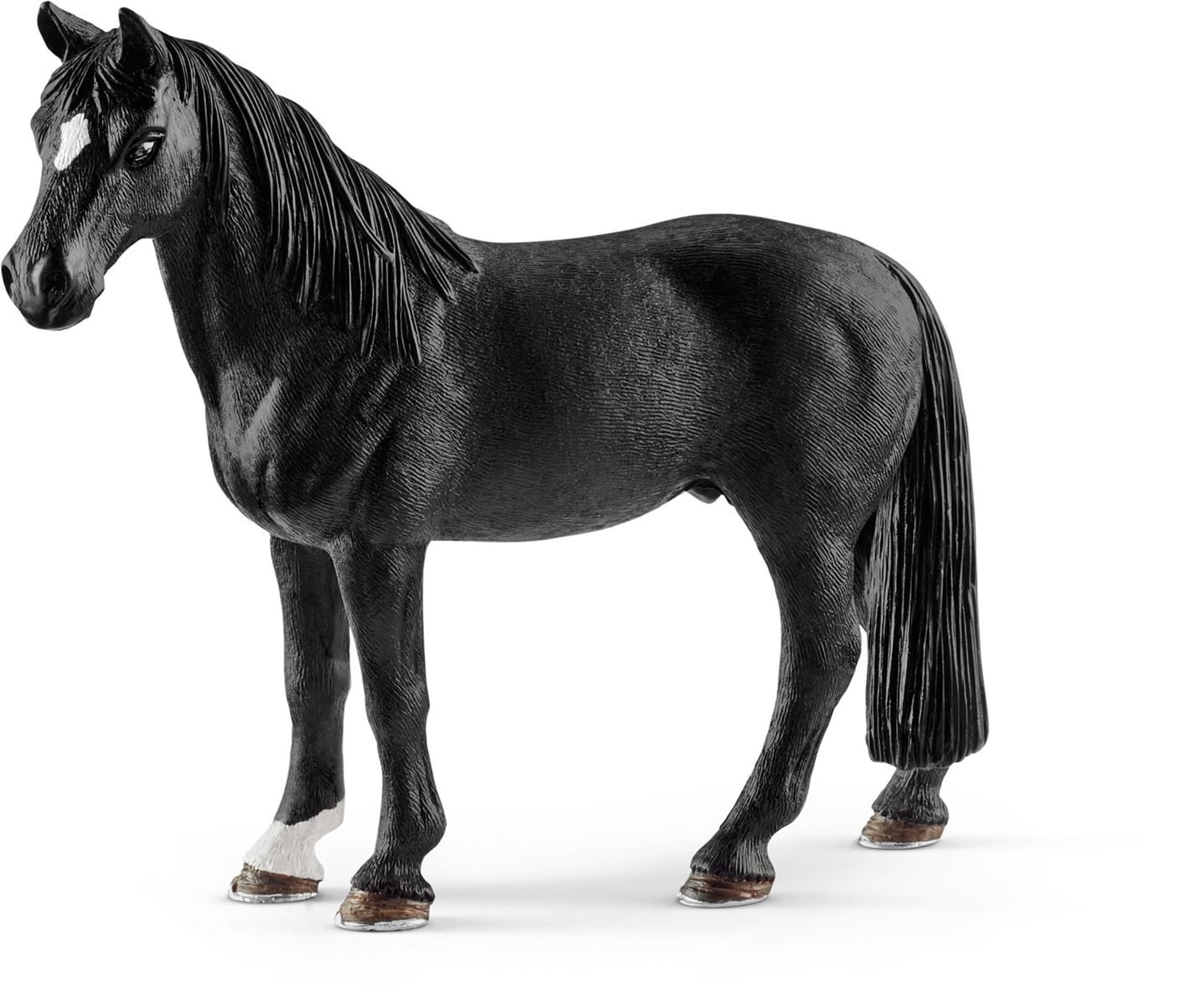 

Wałach rasy Tennessee Walker