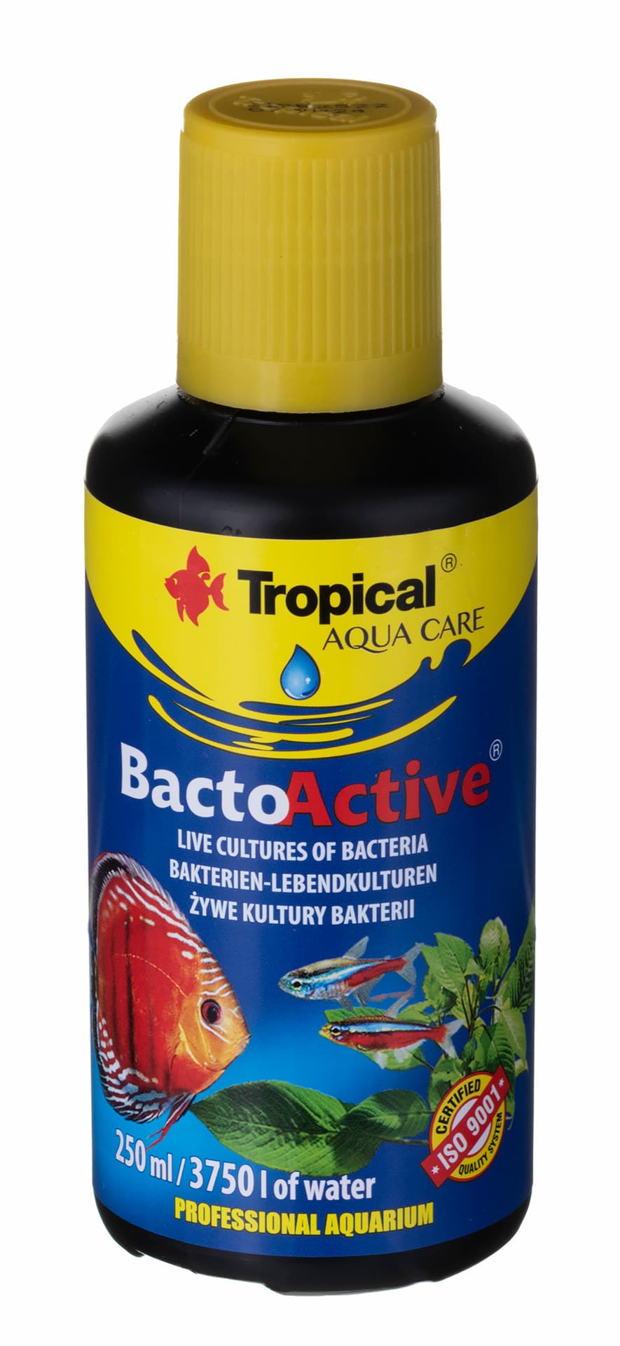 

TROPICAL BACTO ACTIVE 250ML