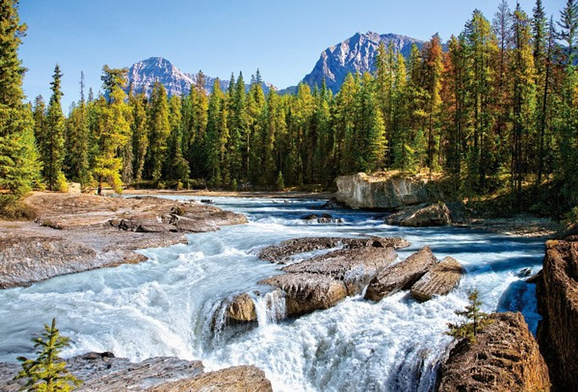 

Puzzle 1500 elementów Athabasca River, Jasper National Park, Canada