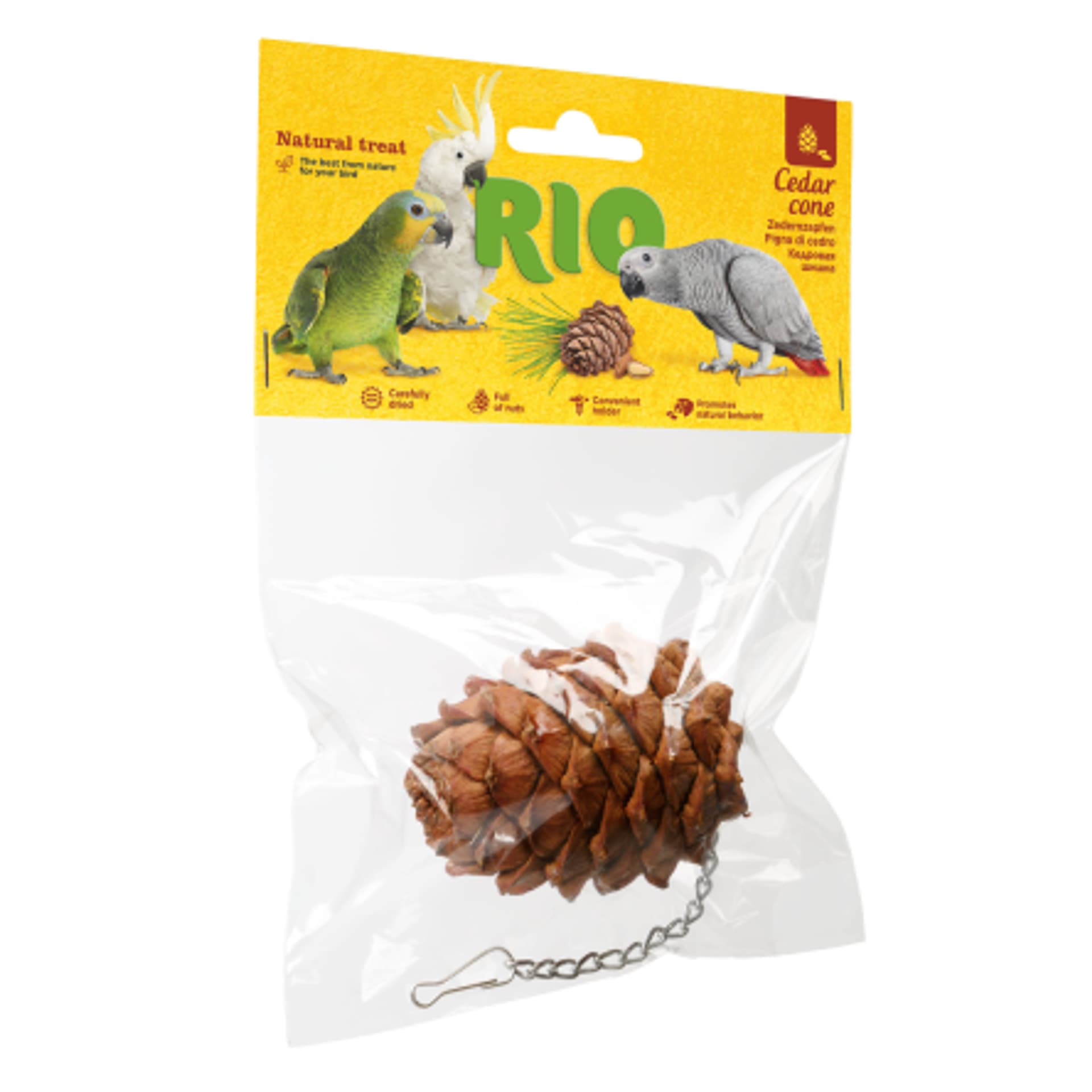 

RIO Cedrowa szyszka 1szt [22060]