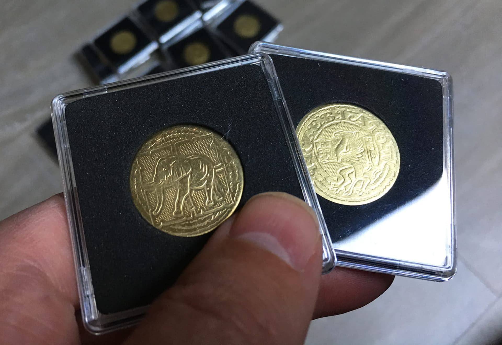 

Moneta trzebiatowska „Gryf i Słoń" MonetaT
