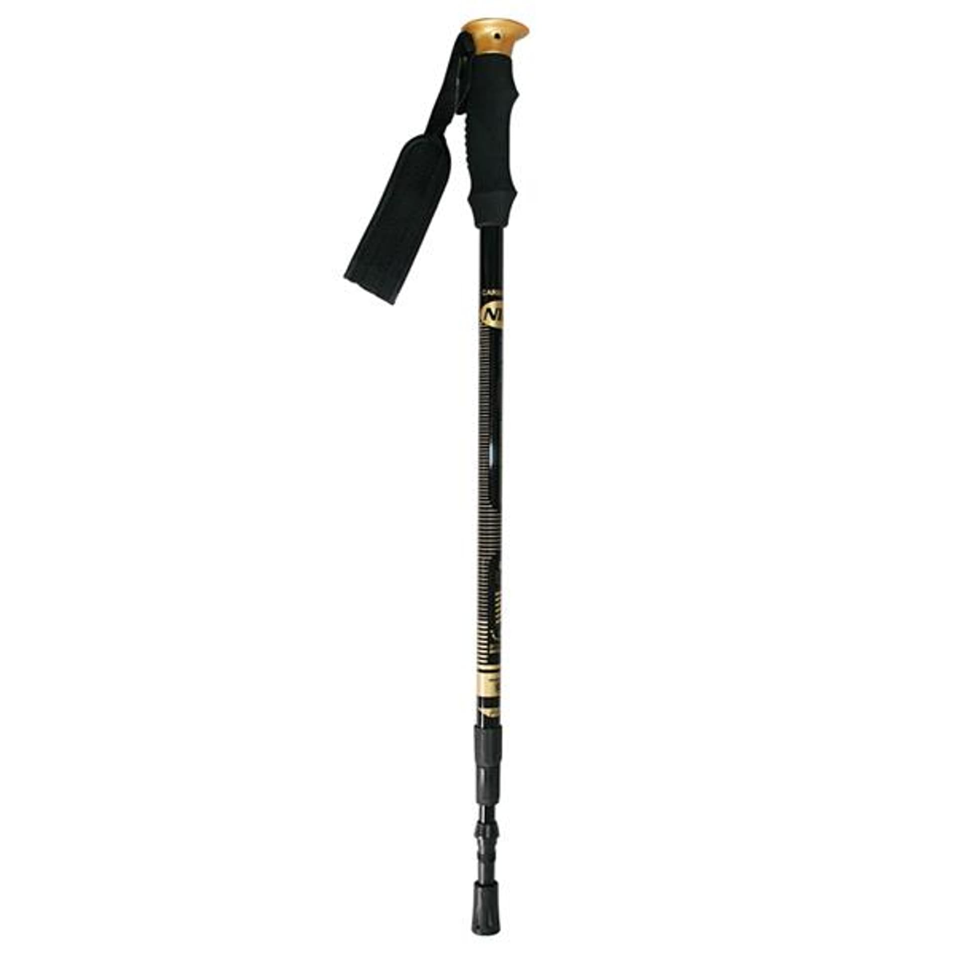 

NW-TK19 KIJE TREKKING/NORDIC WALKING 50% CARBON NILS