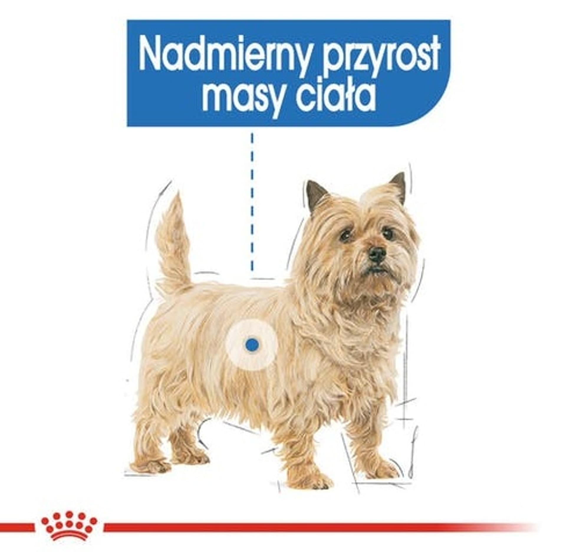 

Royal Canin Light Weight Care karma mokra dla psów dorosłych, wszystkich ras z tendencją do nadwagi saszetka 85g