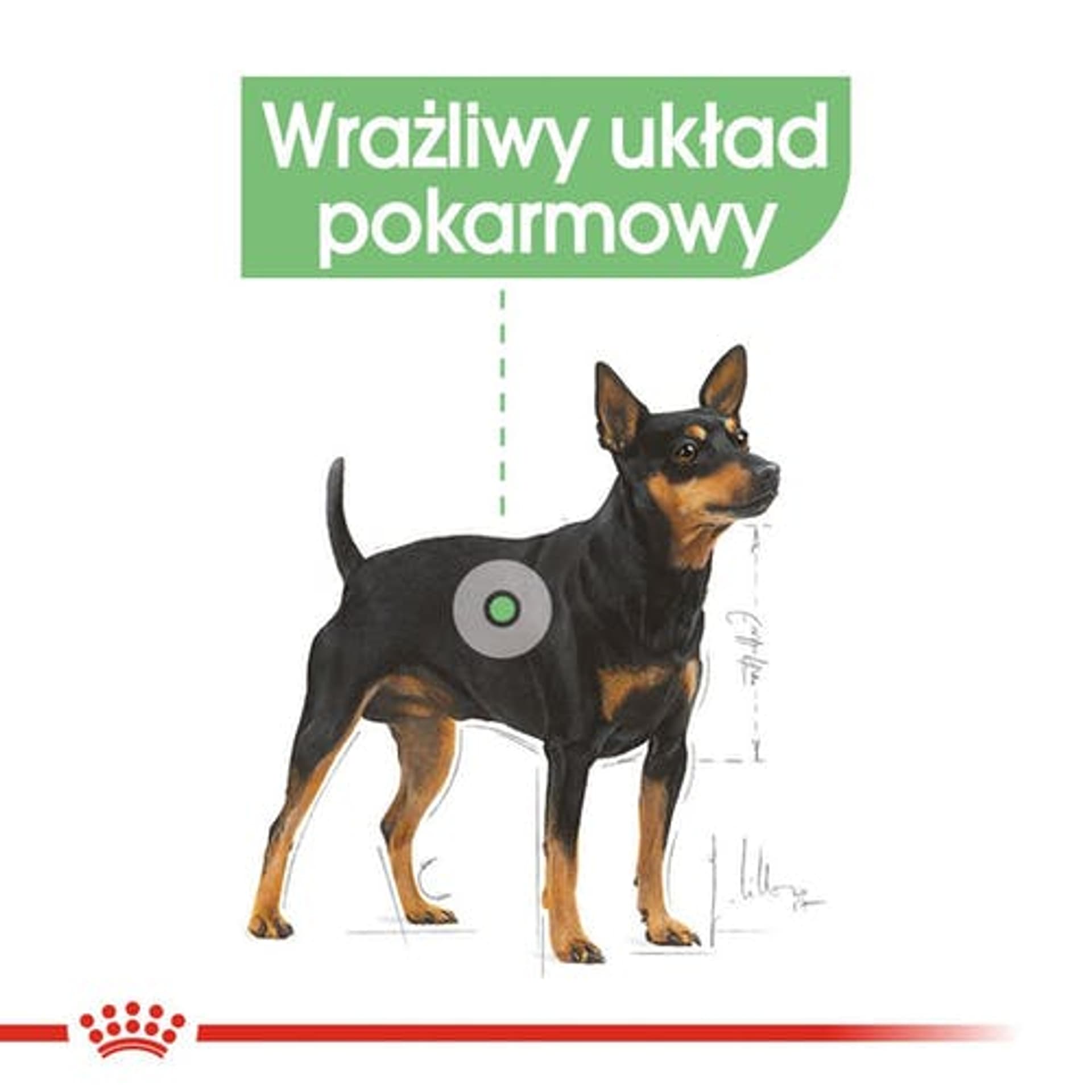 

Royal Canin Digestive Care karma mokra dla psów dorosłych, wszystkich ras o wrażliwym przewodzie pokarmowym saszetka 85g