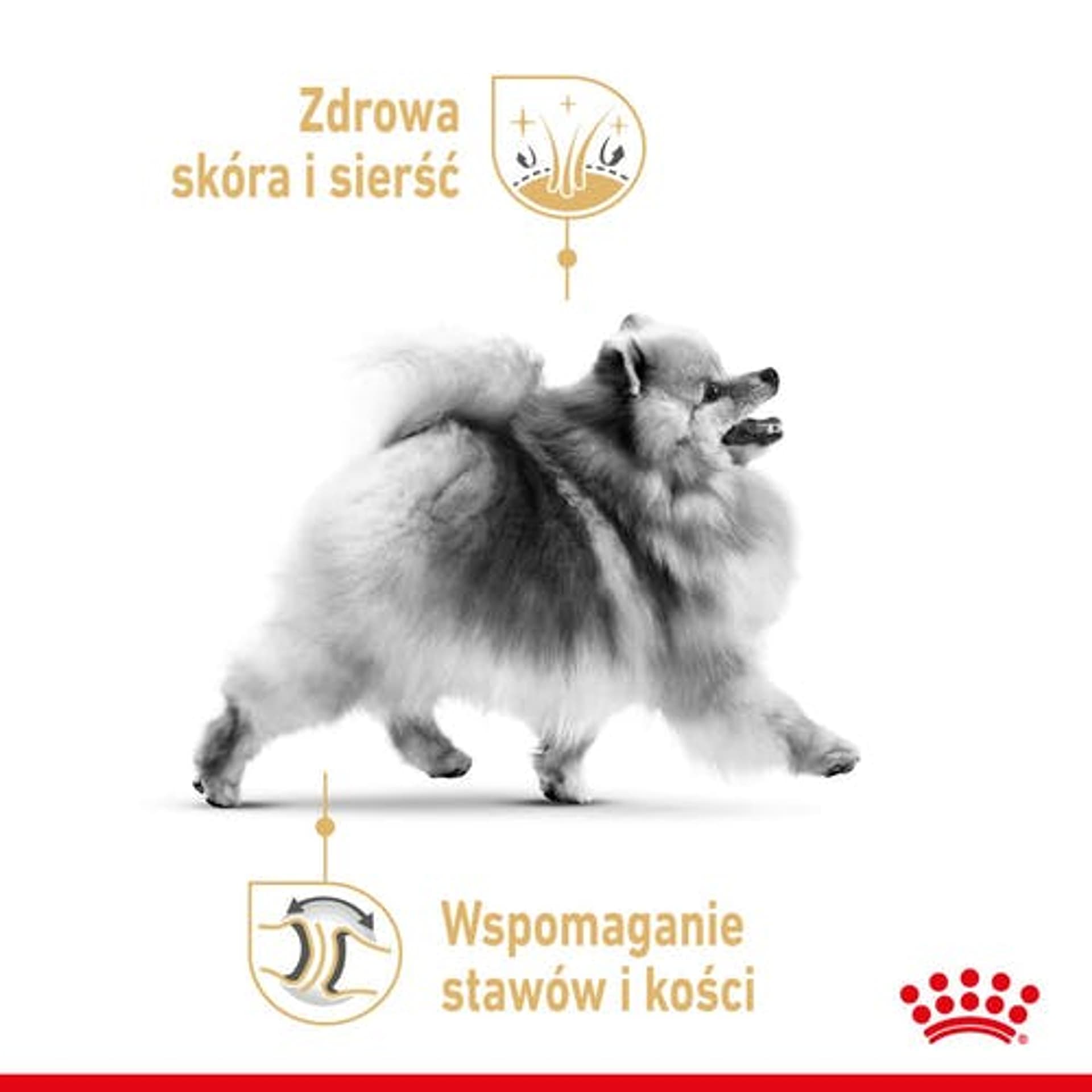 

Royal Canin Pomeranian Adult karma mokra dla psów dorosłych rasy szpic miniaturowy, pasztet saszetka 85g
