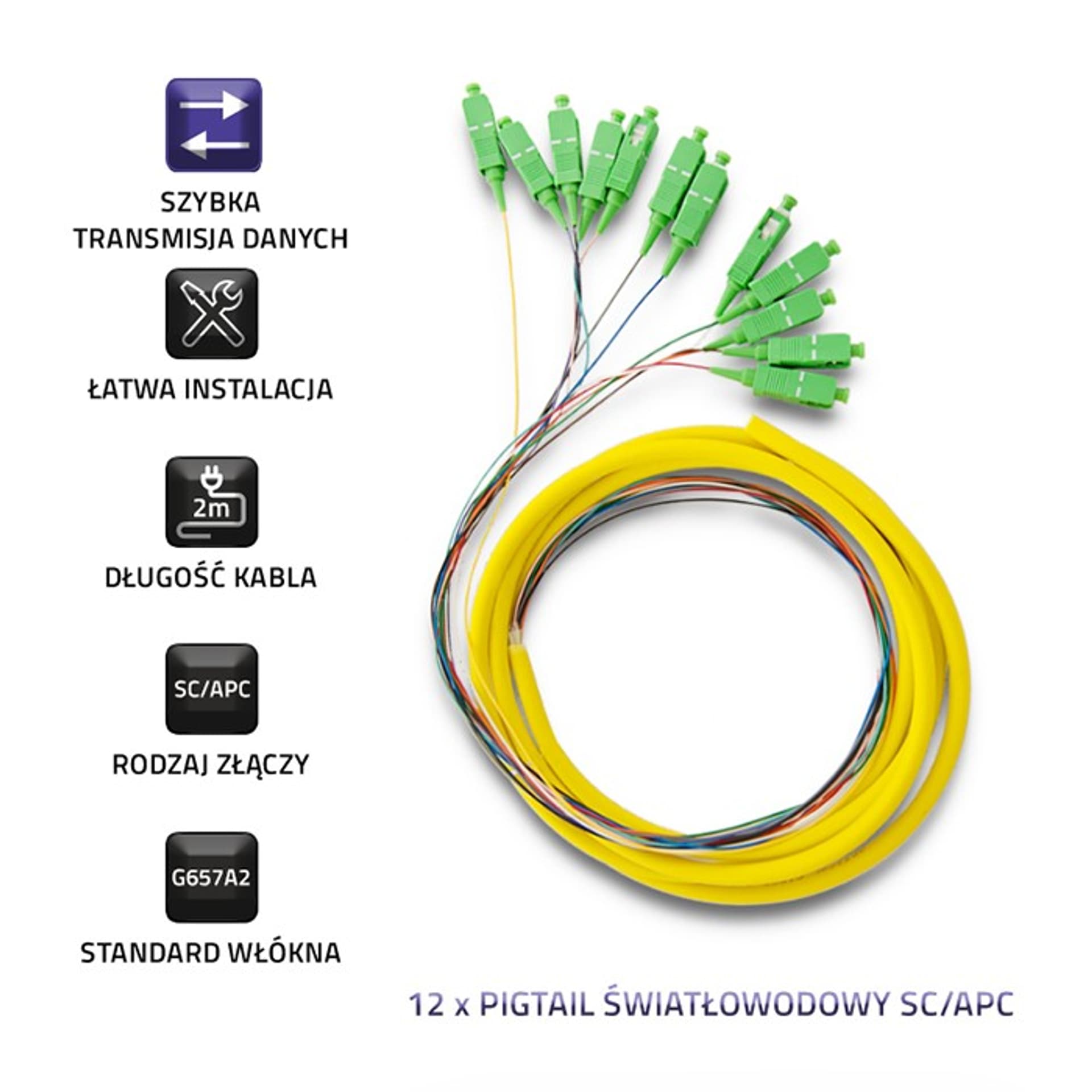 

Qoltec 12 x Pigtail światłowodowy SC/APC | Singlemode | G657A2 | 2m (0NC)