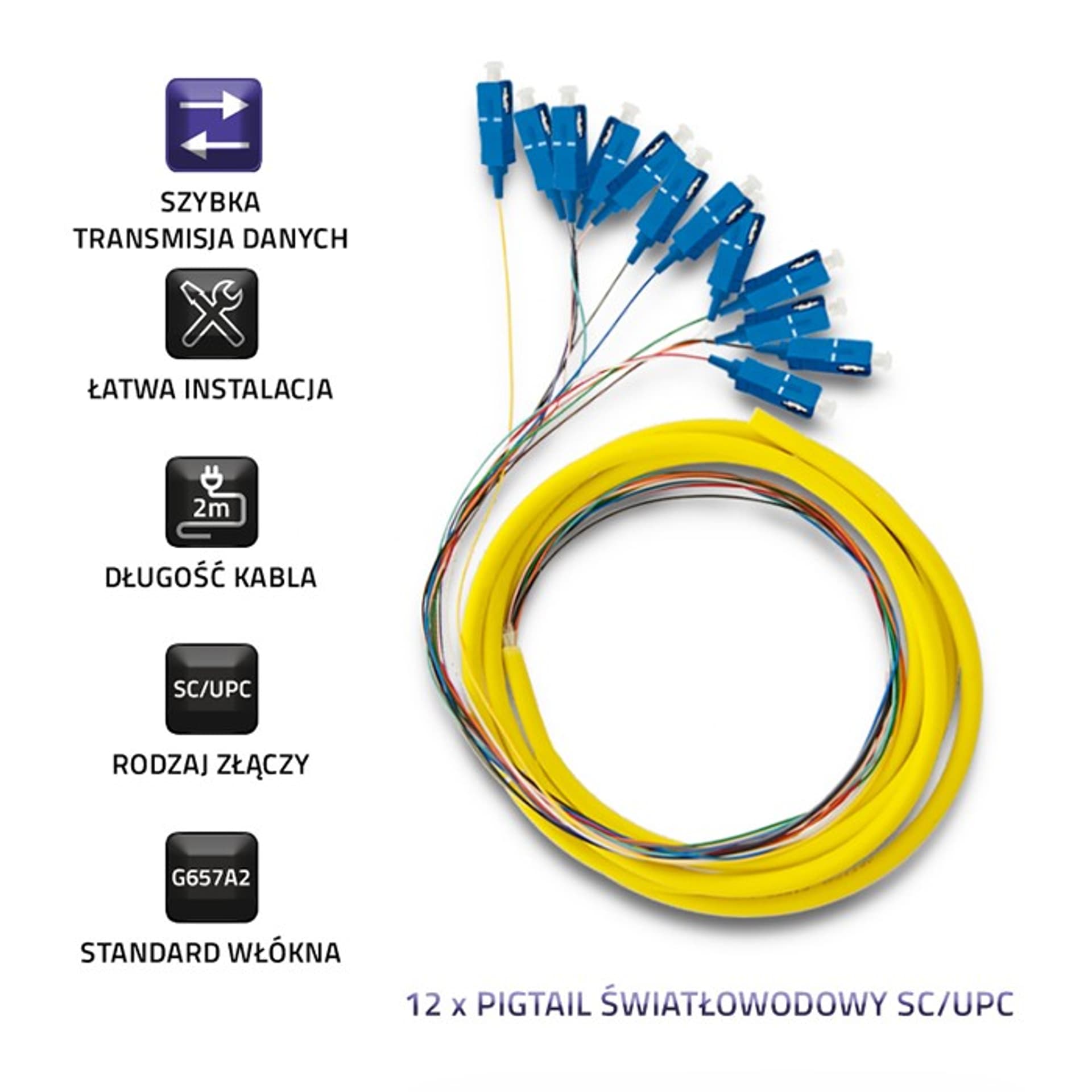 

Qoltec 12 x Pigtail światłowodowy SC/UPC | Singlemode | G657A2 | 2m (0NC)