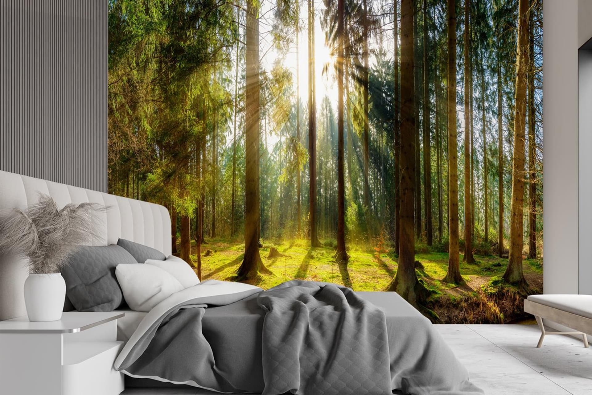 

Fototapeta, Las w promieniach słońca natura krajobraz (Rozmiar 350x245)