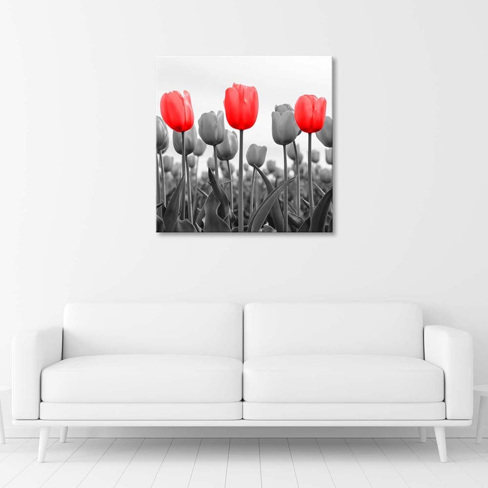 

Obraz na płótnie, Czerwone tulipany na łące (Rozmiar 60x60)