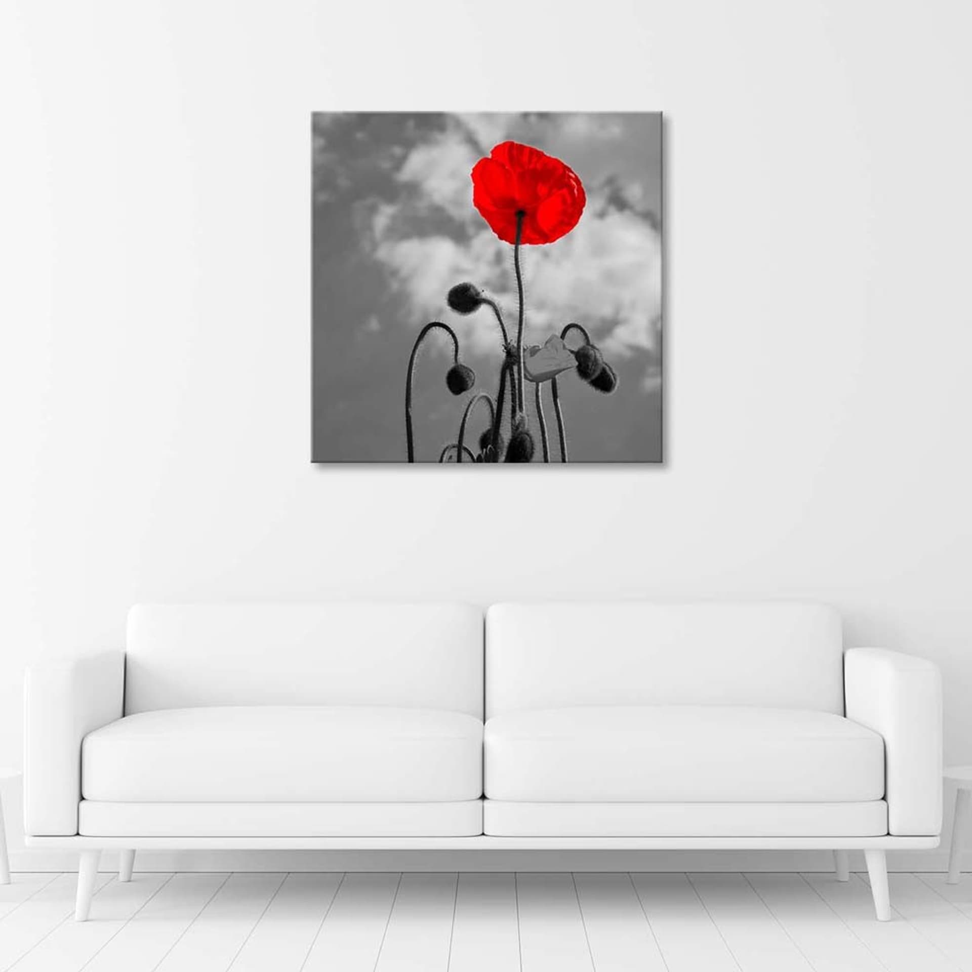 

Obraz Deco Panel, Kwitnący mak (Rozmiar 40x40)