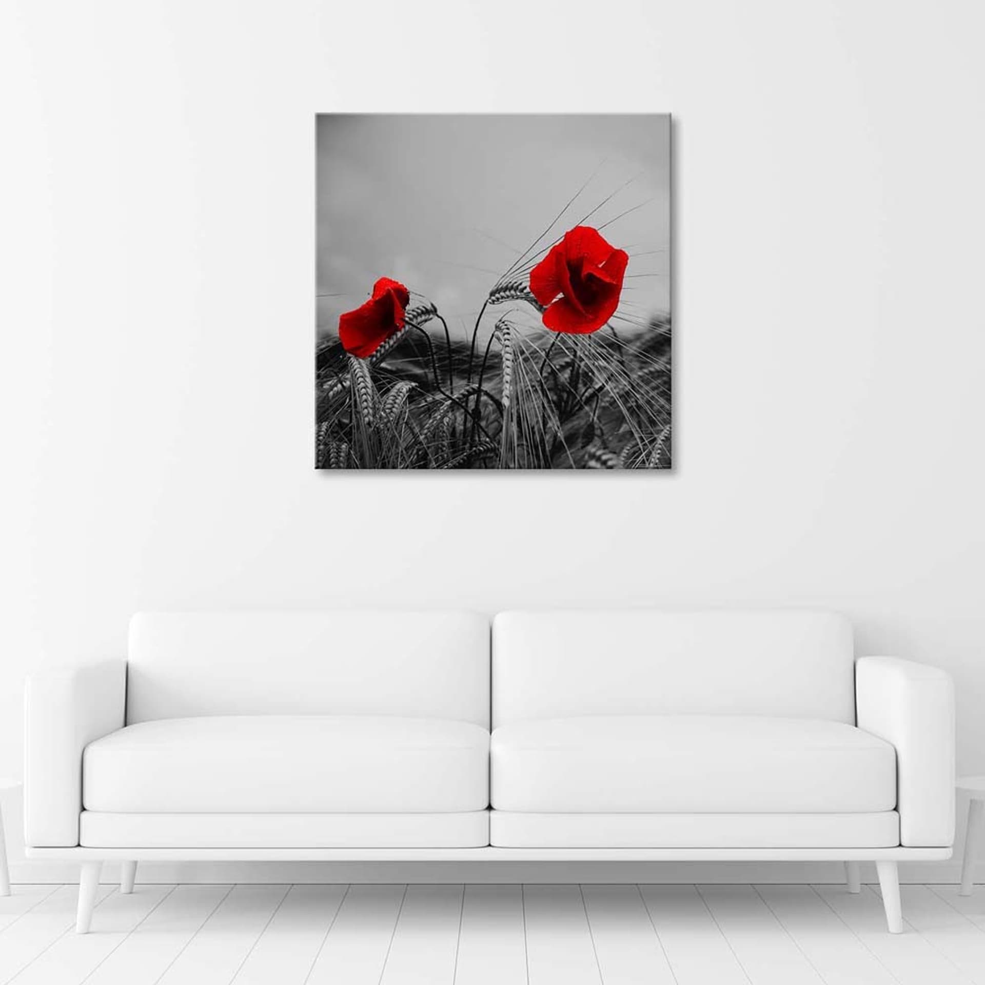 

Obraz na płótnie, Czerwone maki i zboże (Rozmiar 40x40)