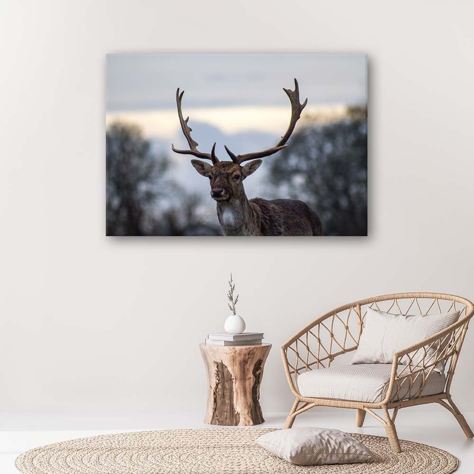 

Obraz Deco Panel, Jeleń (Rozmiar 120x80)