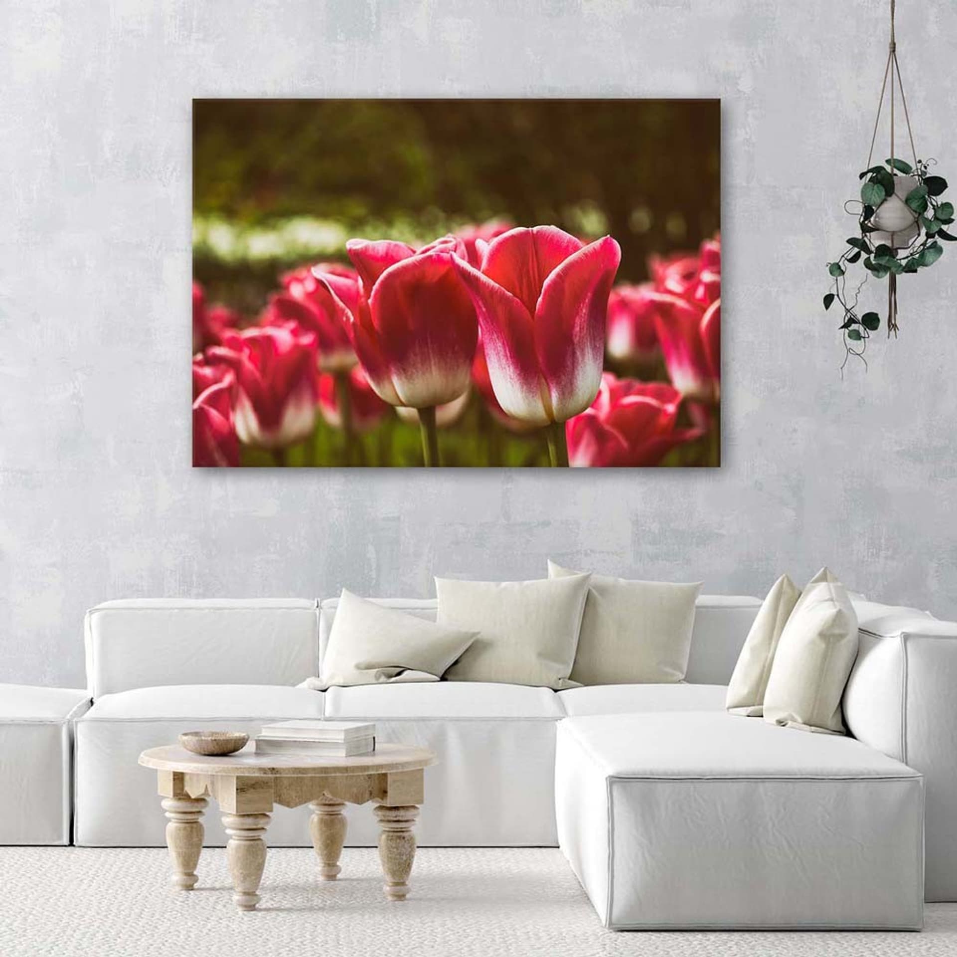 

Obraz na płótnie, Kwitnące tulipany (Rozmiar 60x40)