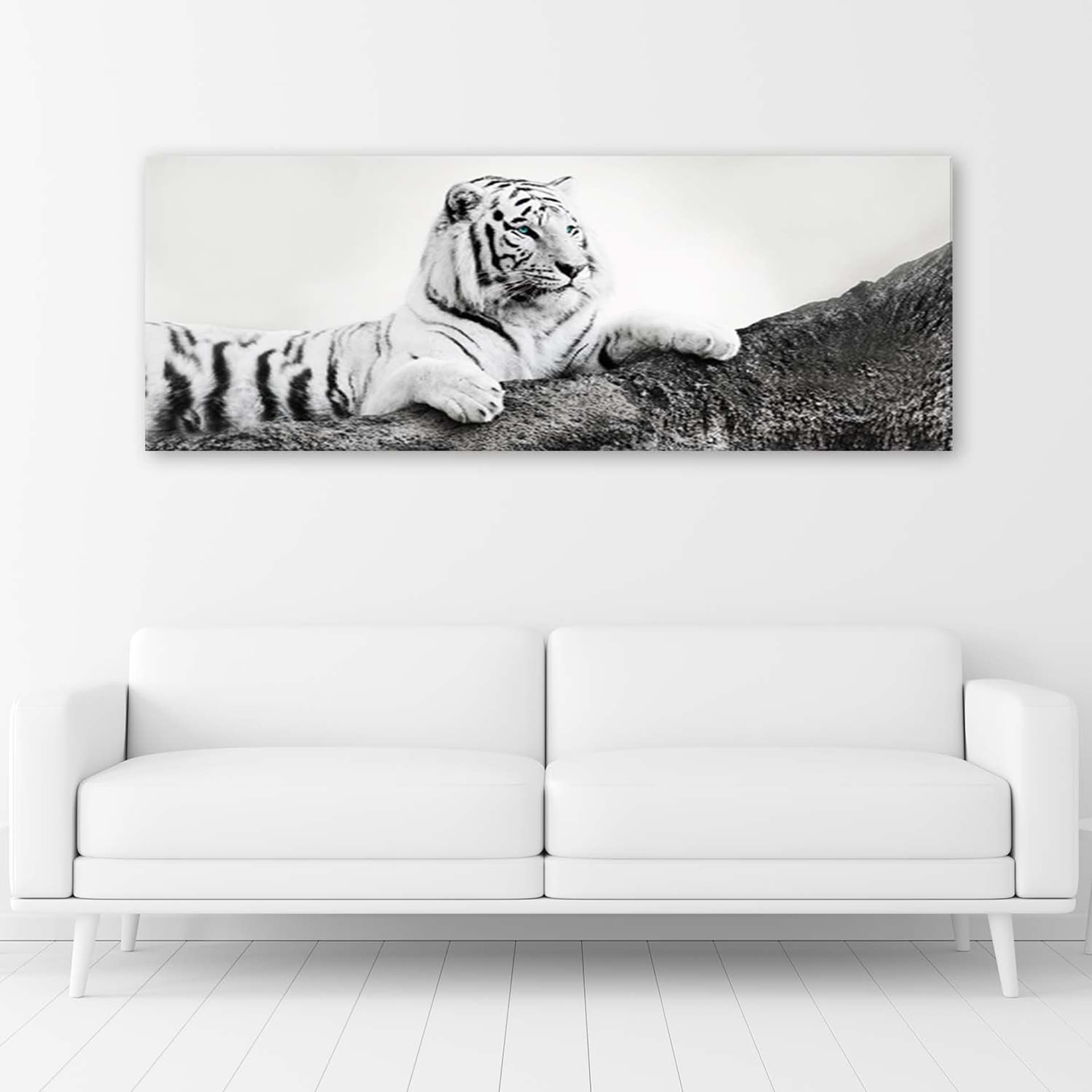 

Obraz Deco Panel, Czuwający tygrys (Rozmiar 120x40)