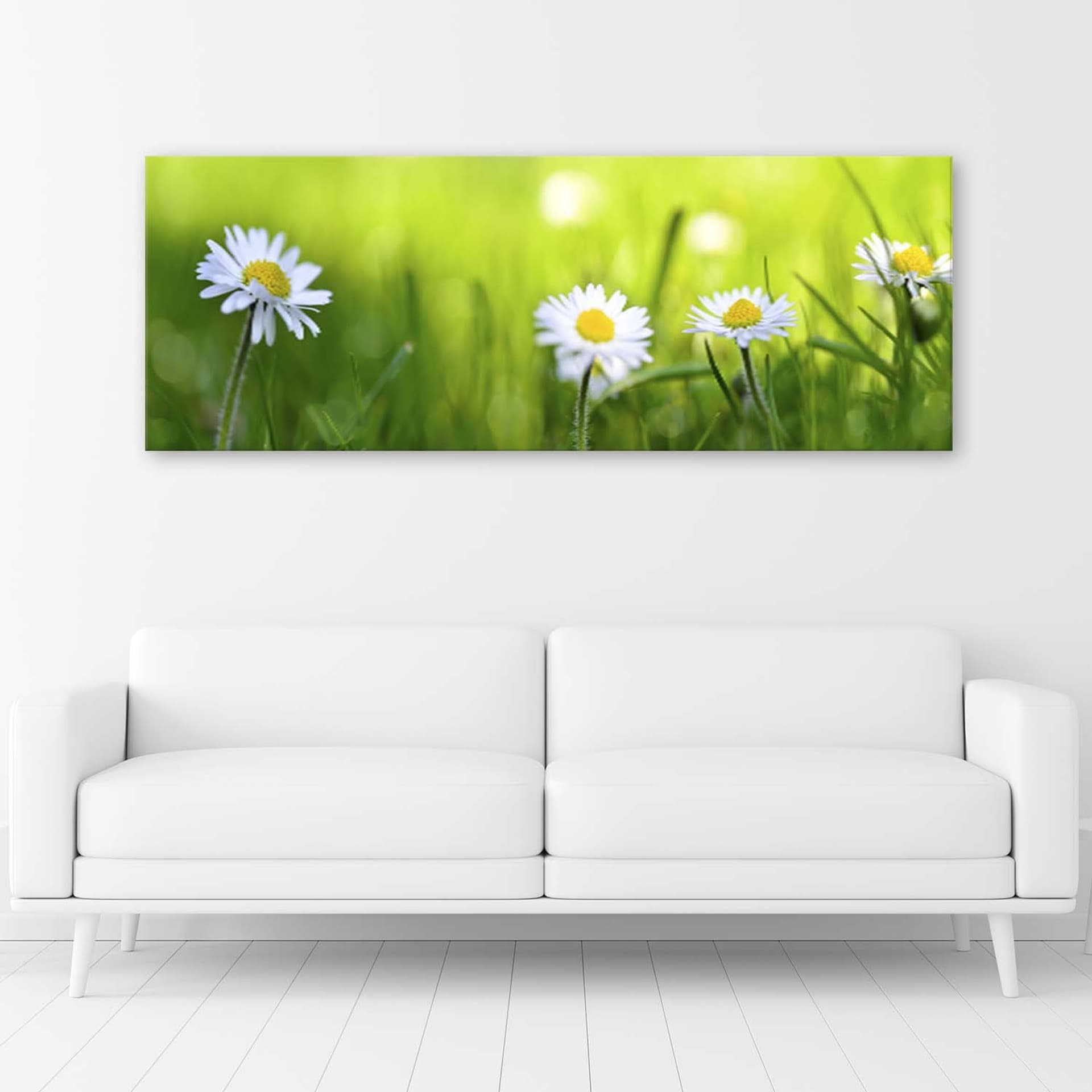 

Obraz Deco Panel, Stokrotki w trawie 1-częściowy (Rozmiar 150x50)