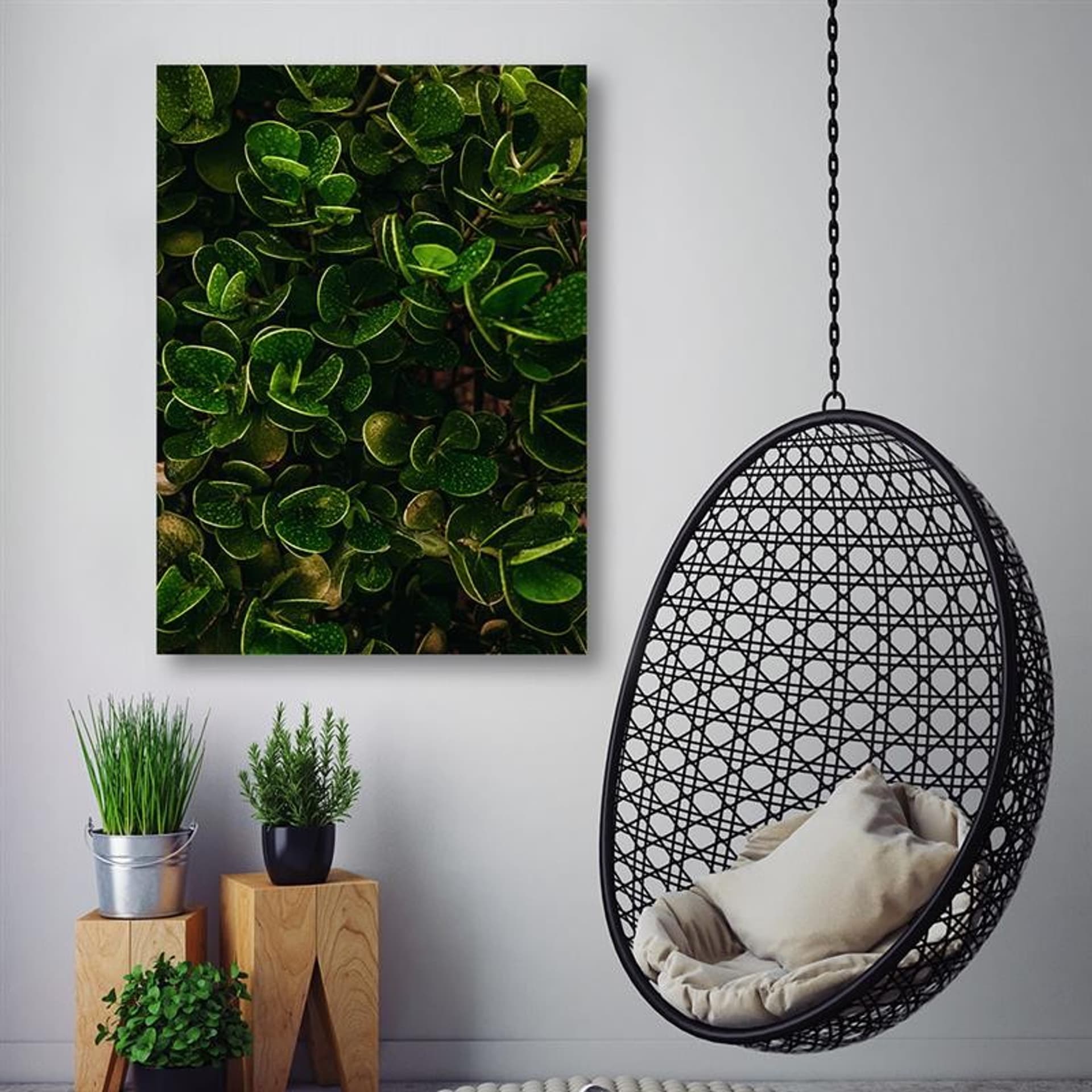 

Obraz na płótnie, Egzotyczne zielone liście (Rozmiar 70x100)