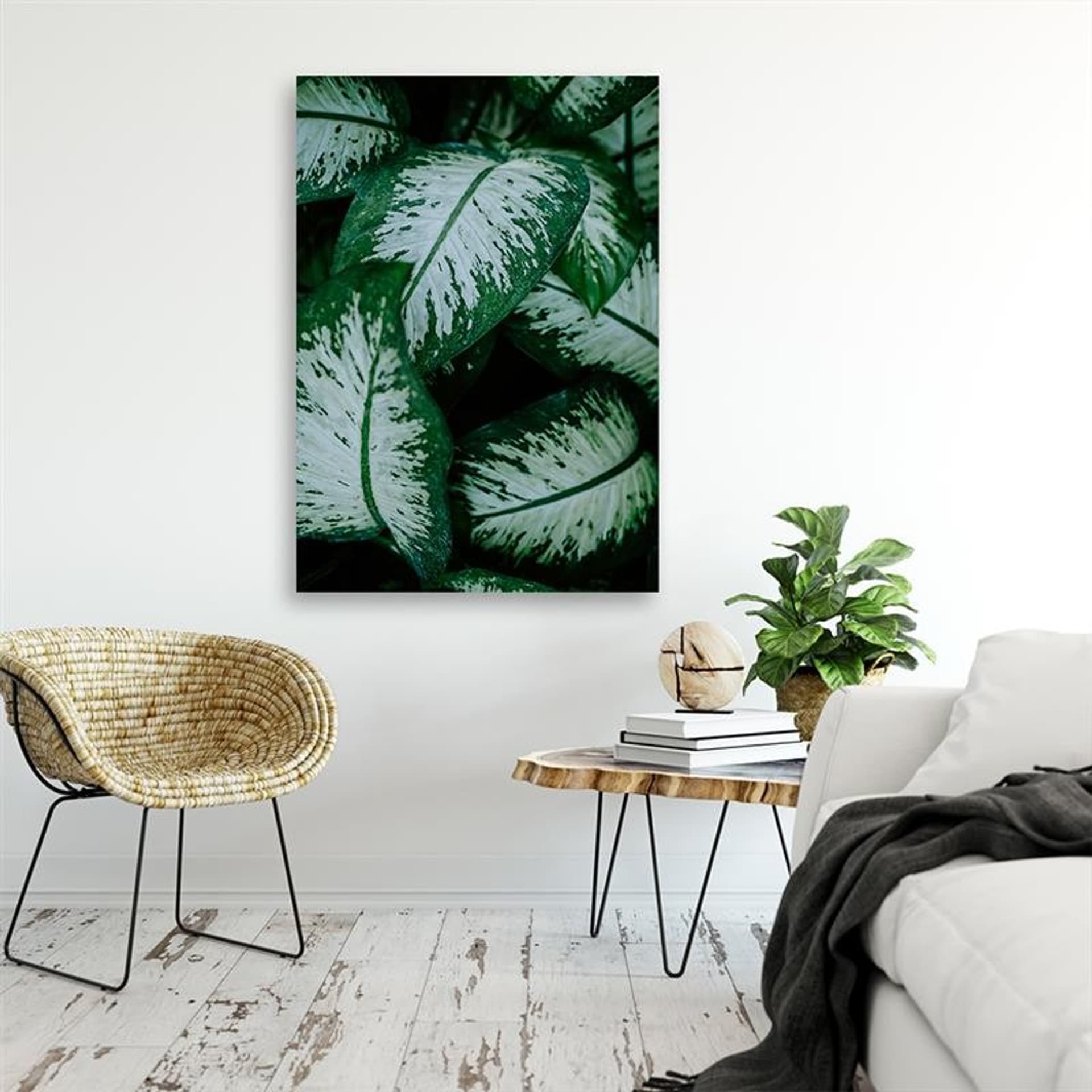 

Obraz Deco Panel, Tropikalne liście biało zielone (Rozmiar 70x100)