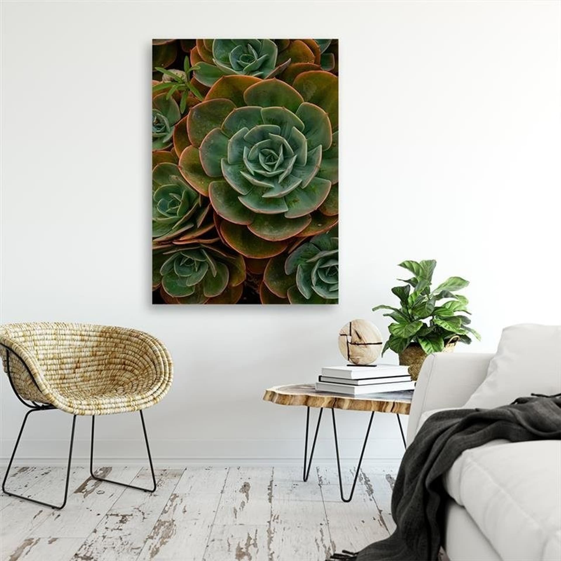 

Obraz Deco Panel, Zielony kwiat sukulent (Rozmiar 60x90)