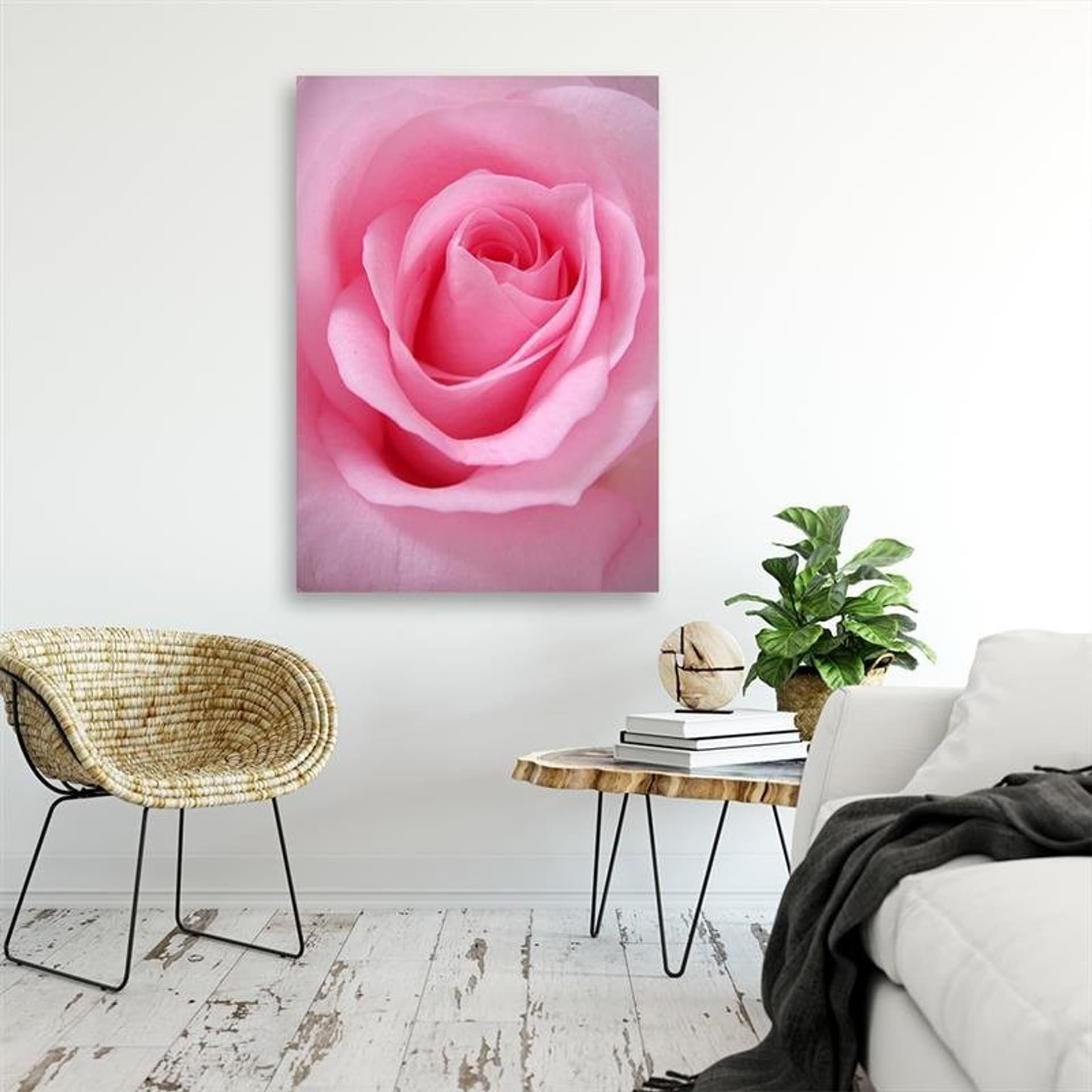 

Obraz Deco Panel, Różowe płatki róży (Rozmiar 40x60)