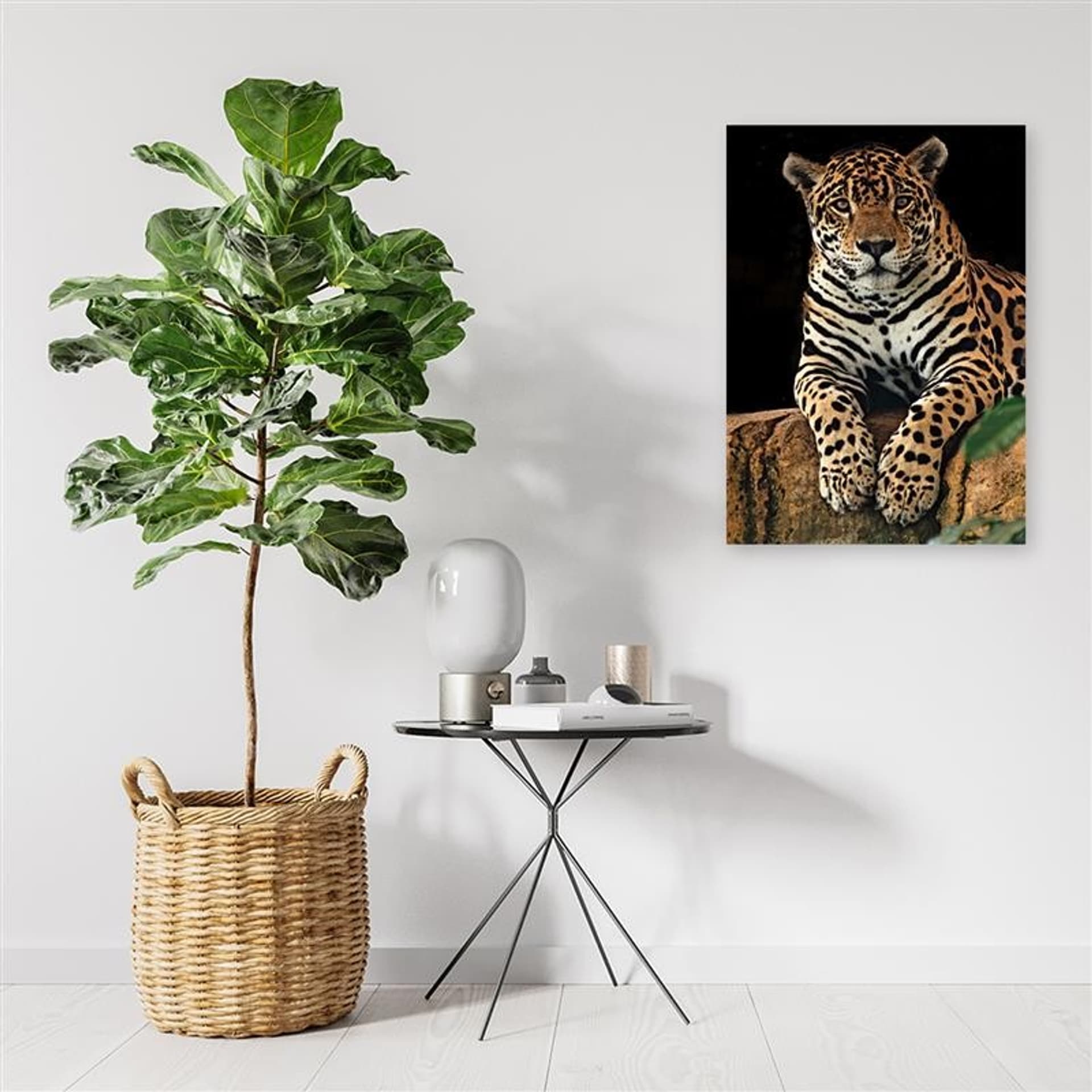 

Obraz Deco Panel, Odpoczywający lampart (Rozmiar 40x60)