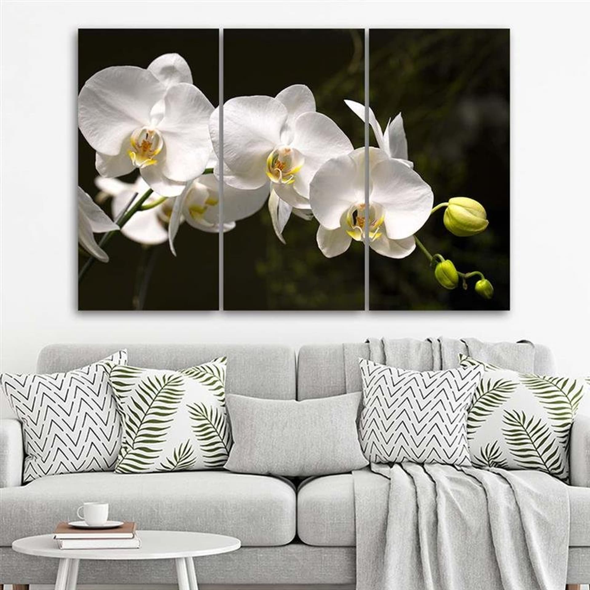 

Obraz trzyczęściowy na płótnie, Biała orchidea (Rozmiar 90x60)