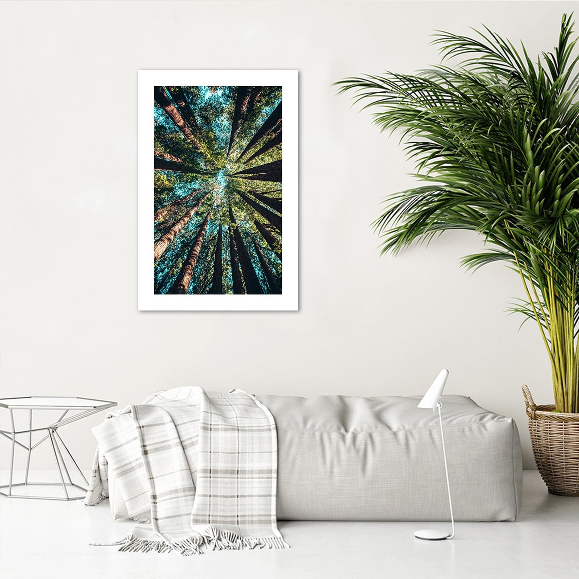 

Plakat, Konary wysokich drzew (Rozmiar 30x45)