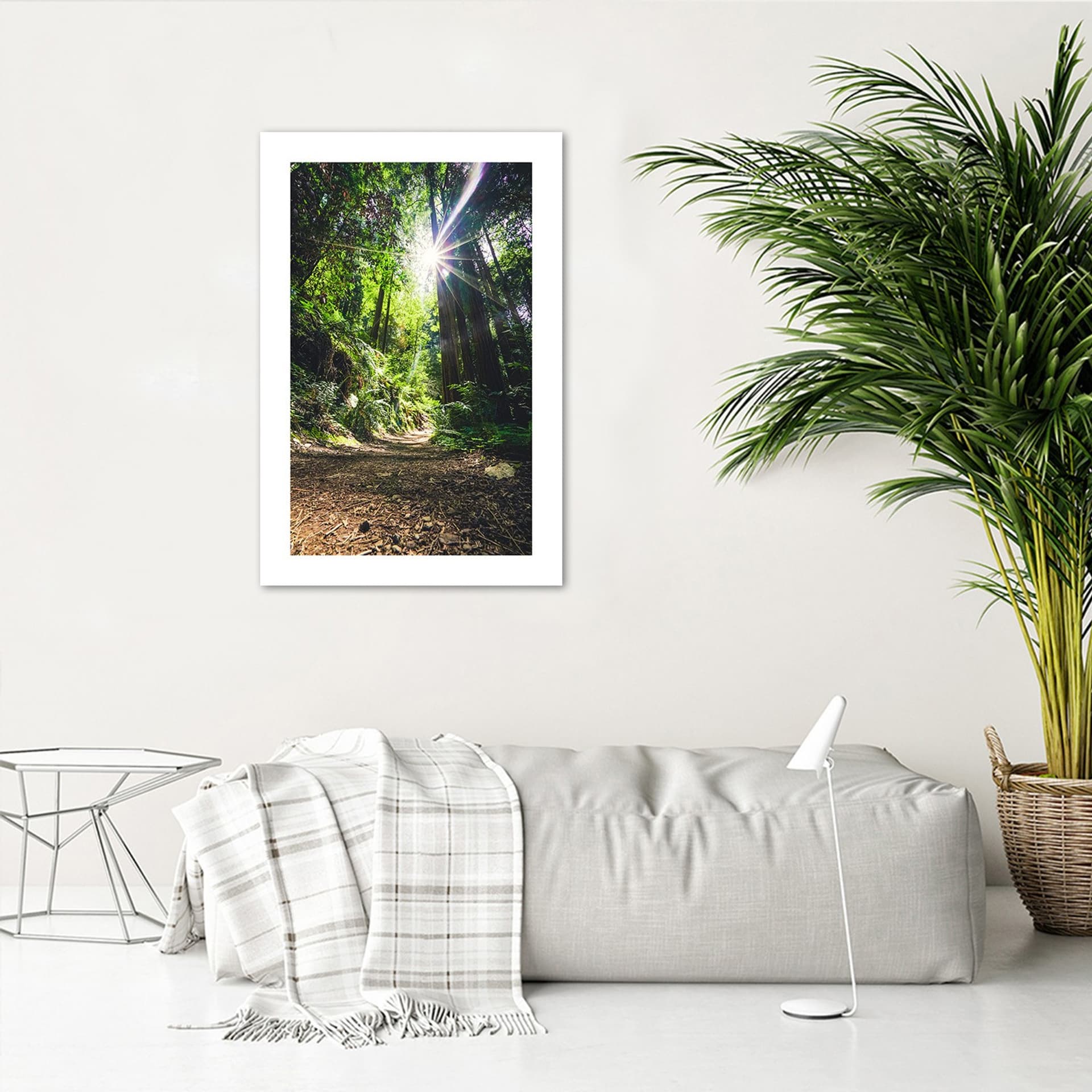 

Plakat, Ścieżka w gęstym lesie (Rozmiar 40x60)