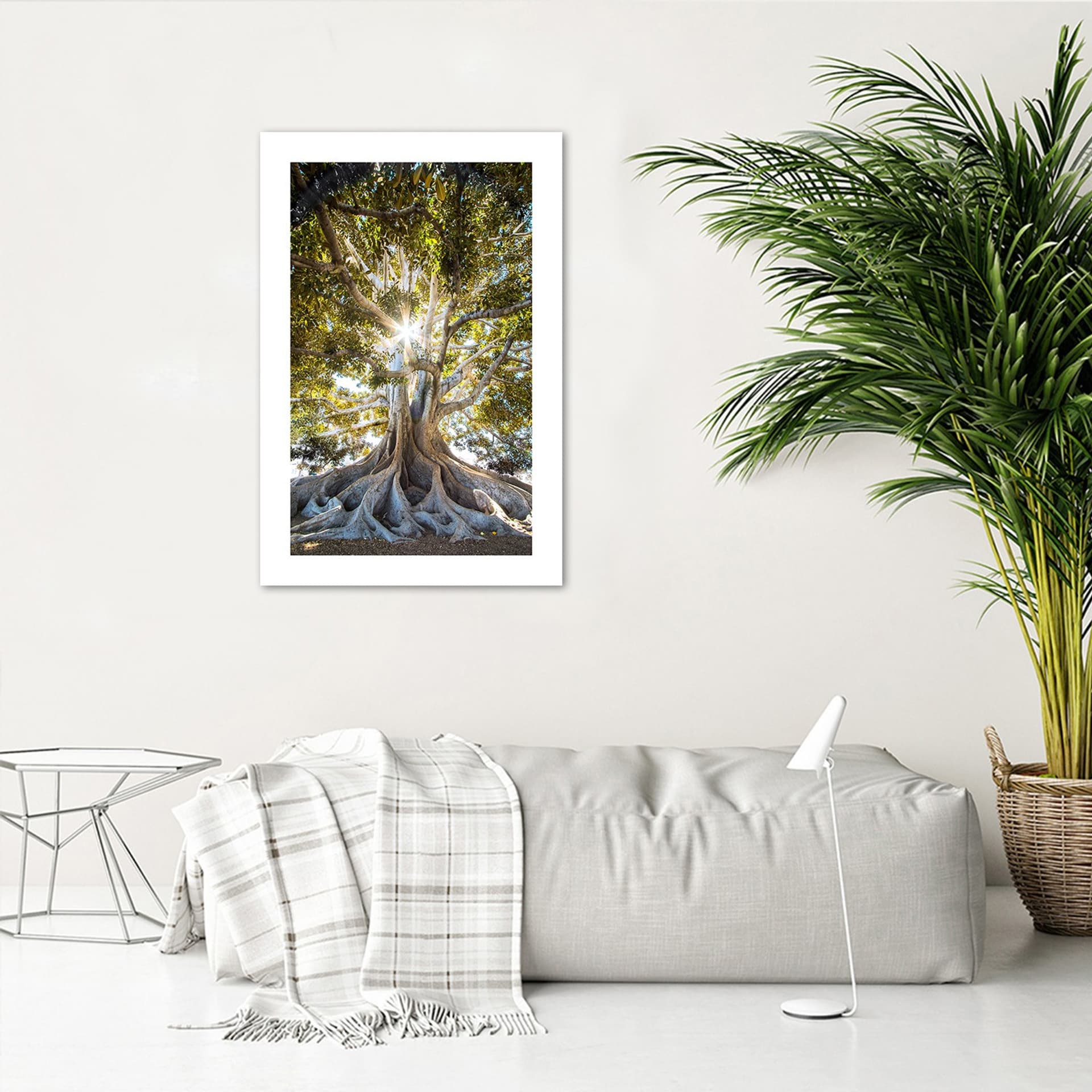 

Plakat, Wielkie egzotyczne drzewo (Rozmiar 20x30)