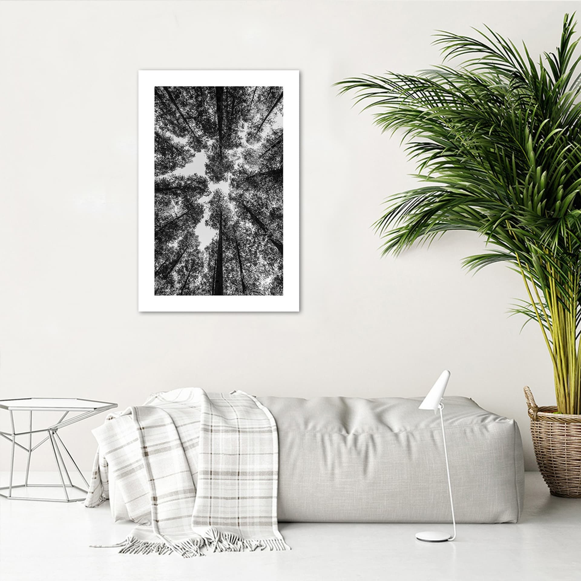 

Plakat, Korony drzew (Rozmiar 30x45)