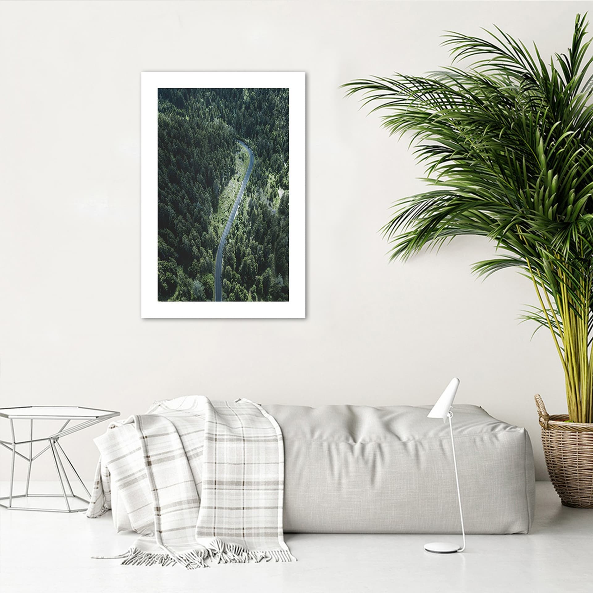 

Plakat, Droga w lesie (Rozmiar 40x60)