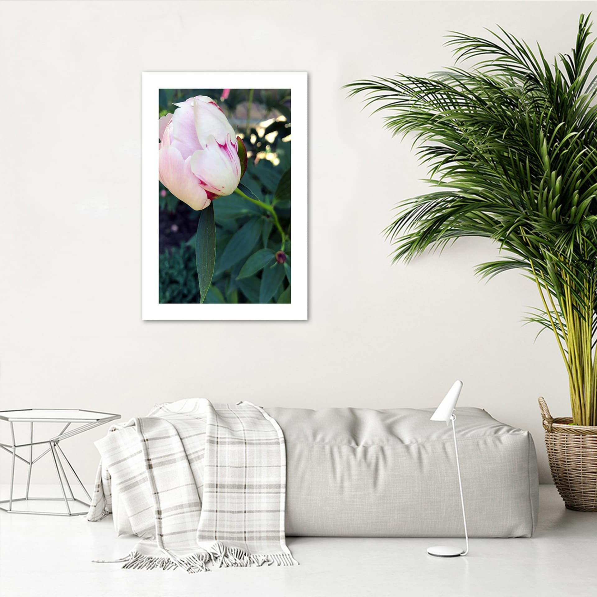 

Plakat, Biała piwonia (Rozmiar 30x45)