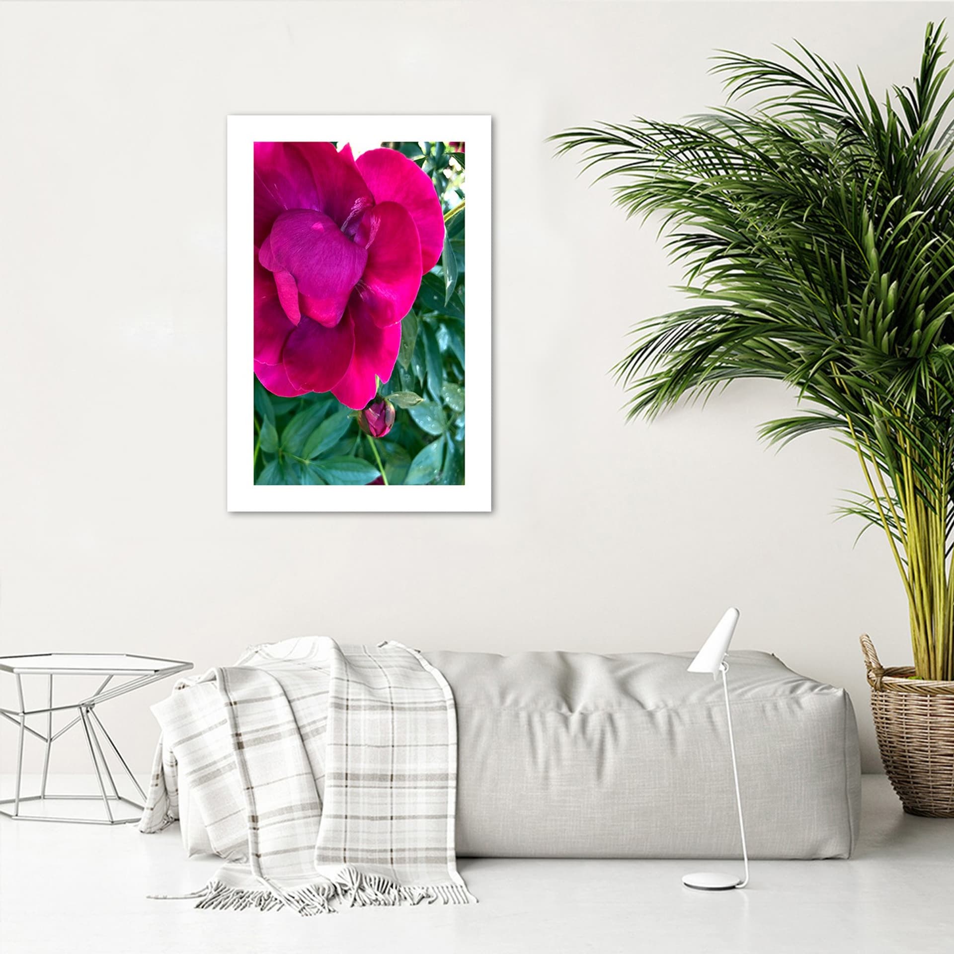 

Plakat, Różowy duży kwiat (Rozmiar 30x45)
