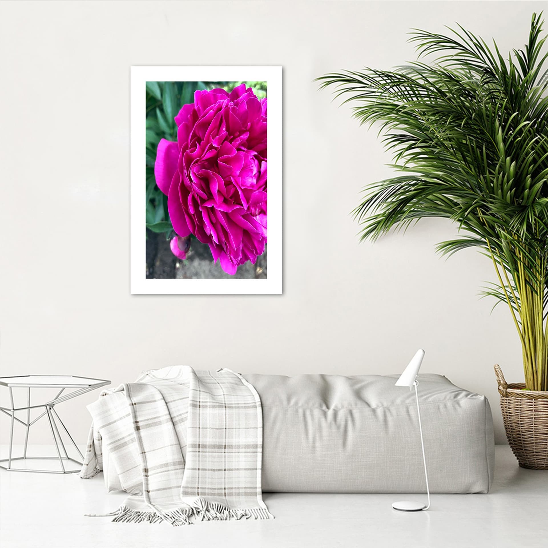 

Plakat, Różowy duży kwiat (Rozmiar 20x30)