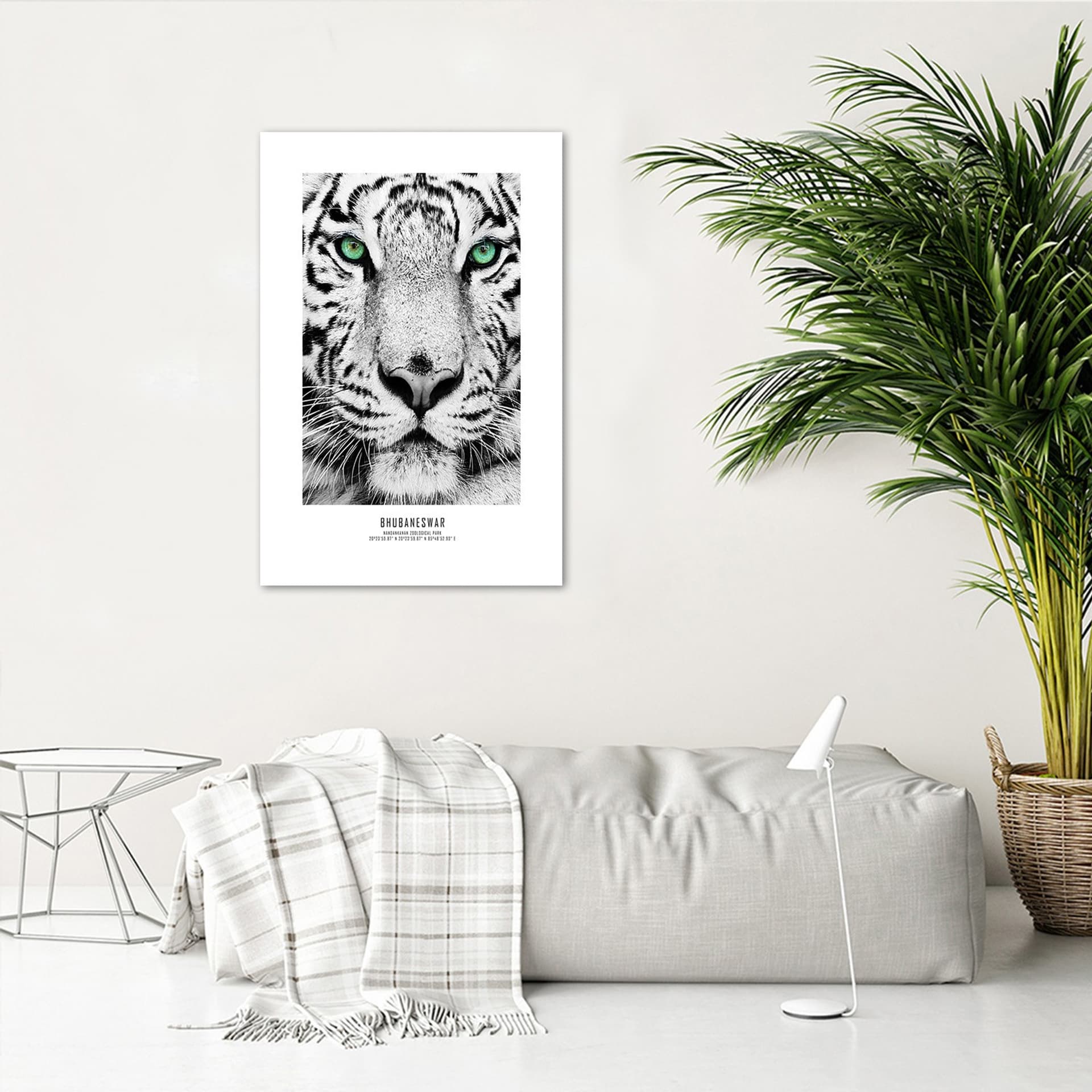 

Plakat, Biały tygrys (Rozmiar 20x30)