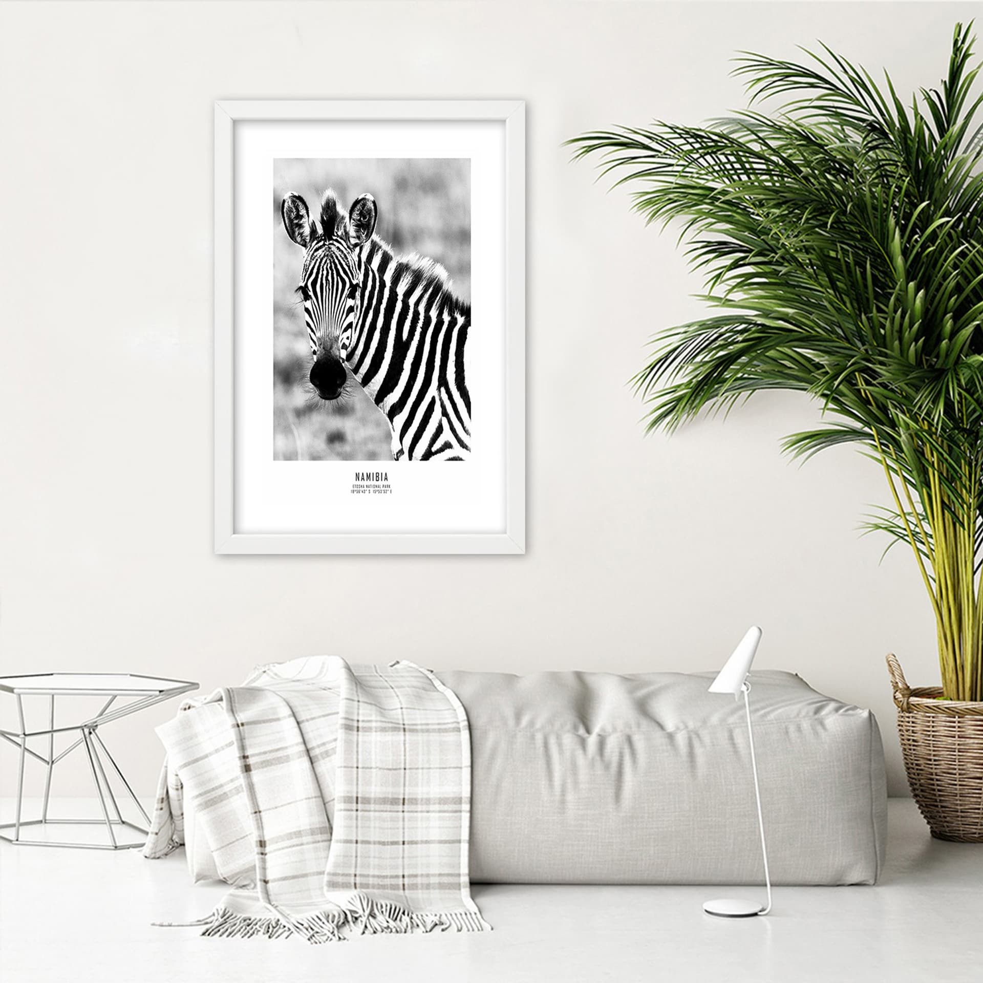 

Obraz w ramie, Ciekawska zebra (Rozmiar 30x45)