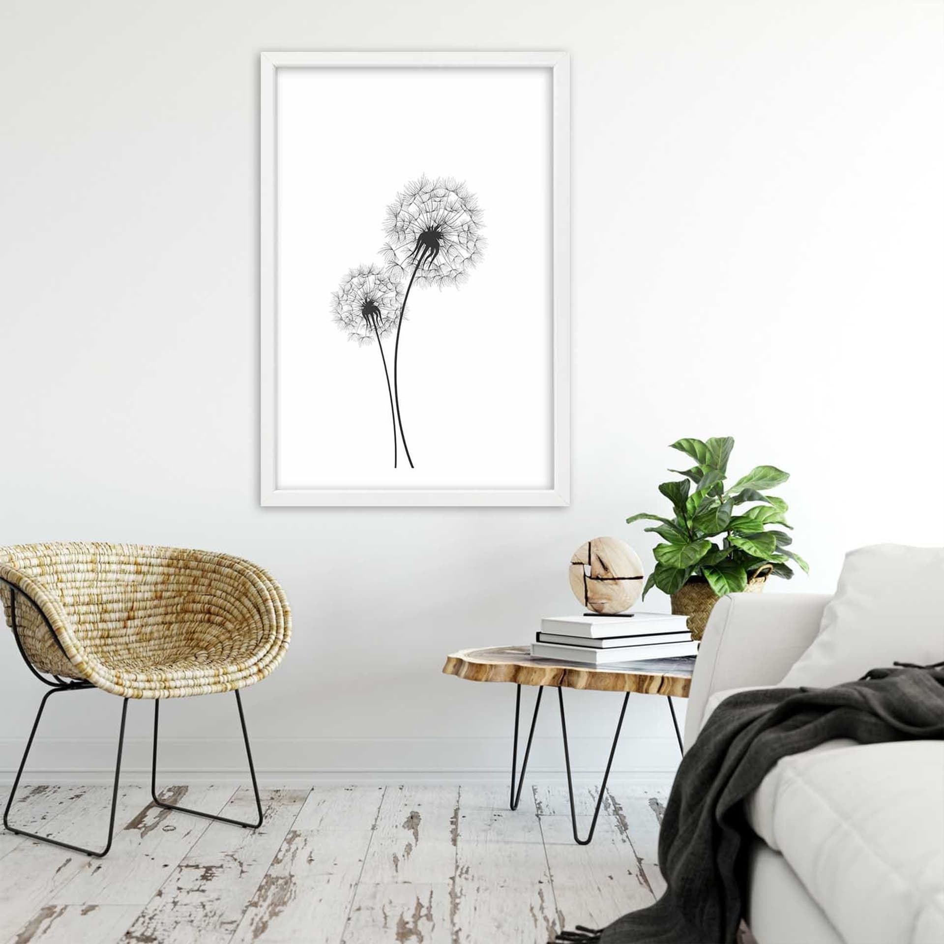 

Obraz w ramie, Narysowane dwa dmuchawce (Rozmiar 40x60)