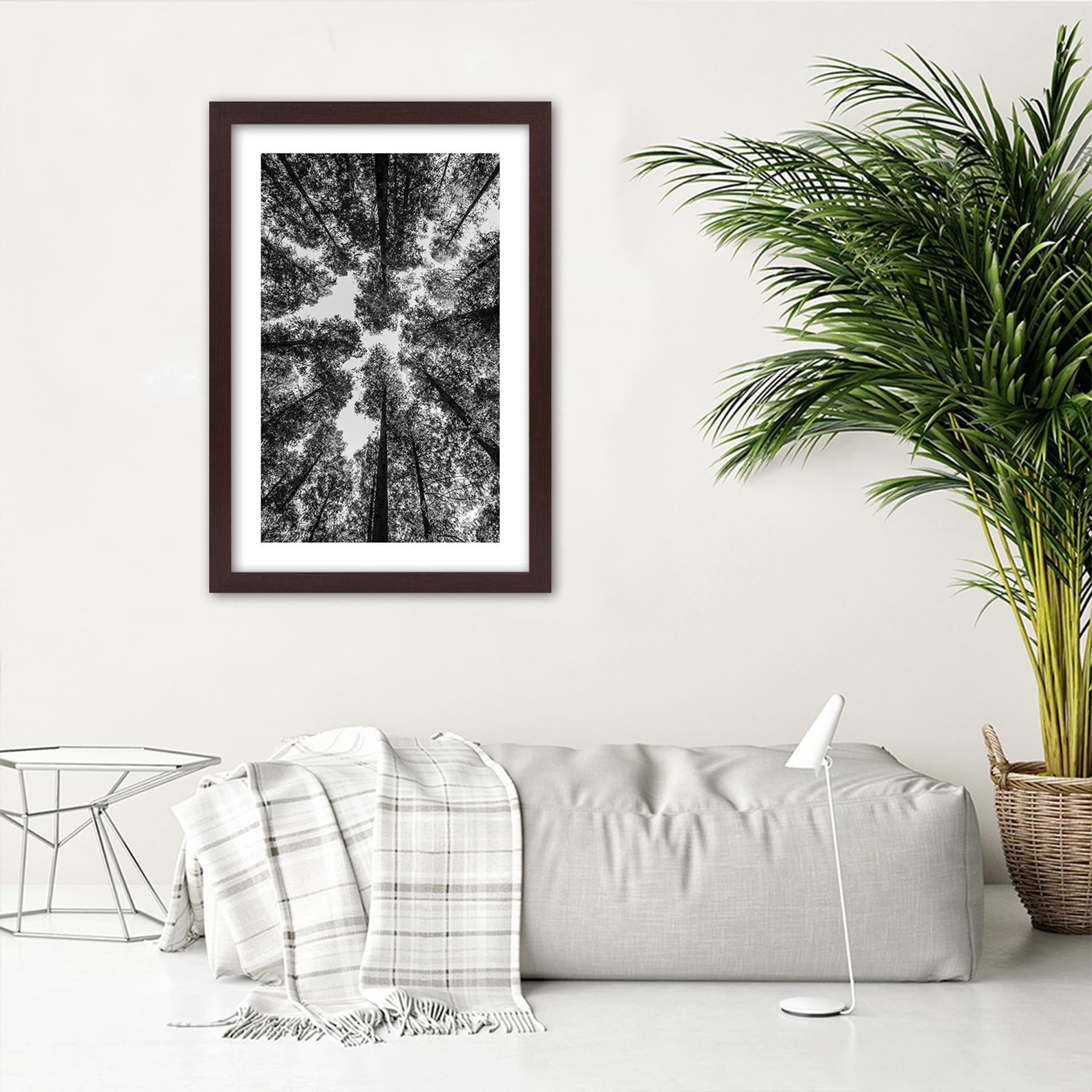 

Obraz w ramie, Korony drzew (Rozmiar 70x100)