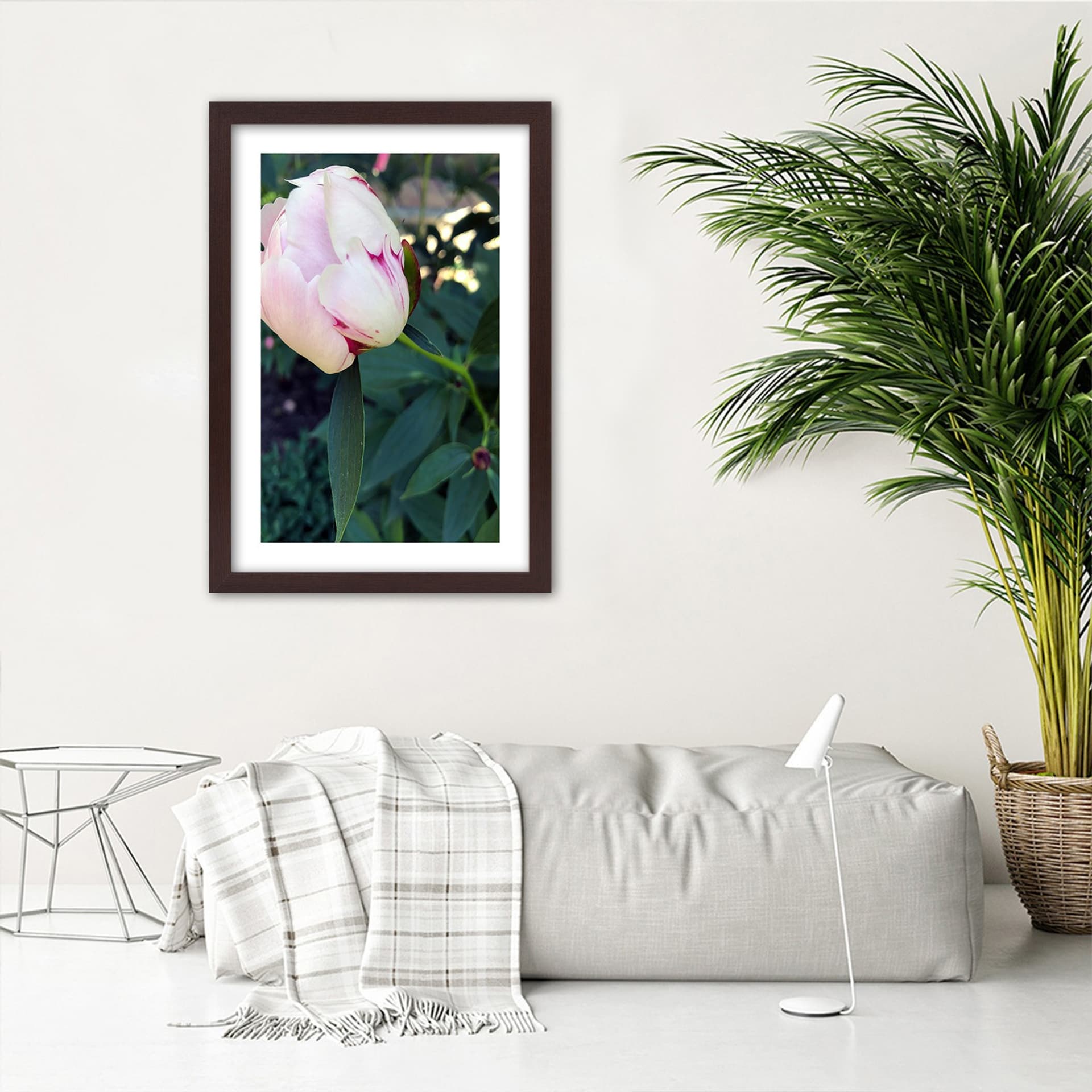 

Obraz w ramie, Biała piwonia (Rozmiar 60x90)