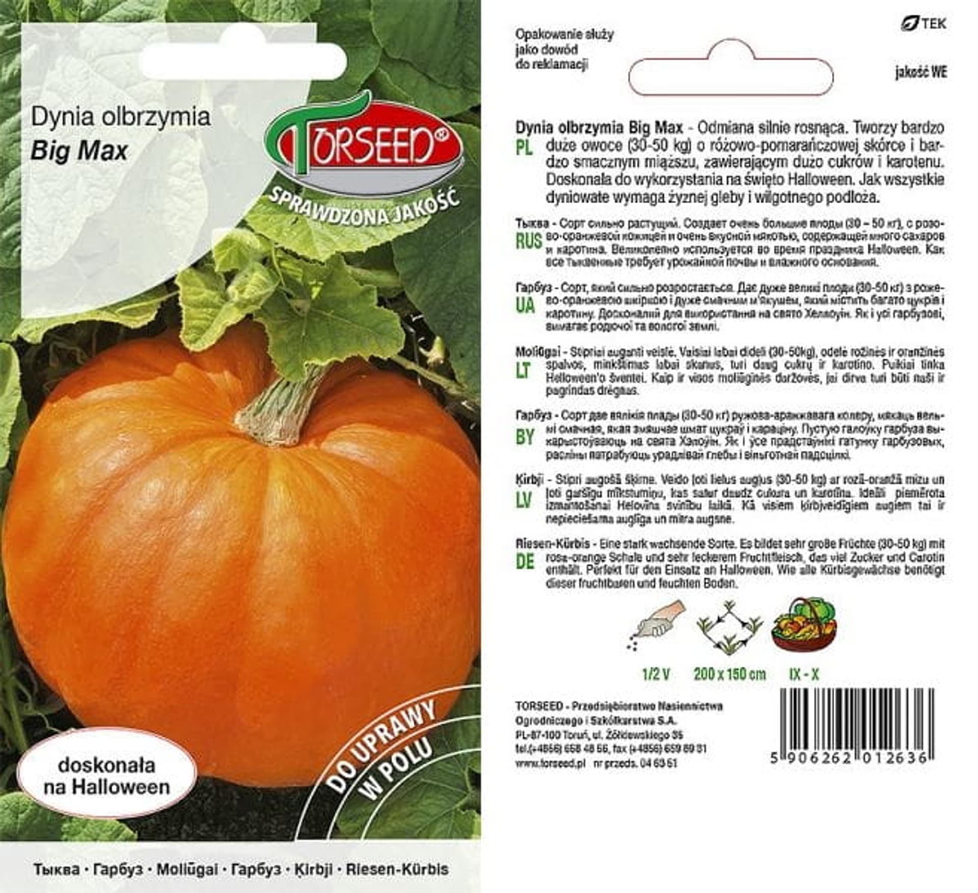 

Nasiona Dynia olbrzymia Big Max Torseed 3g