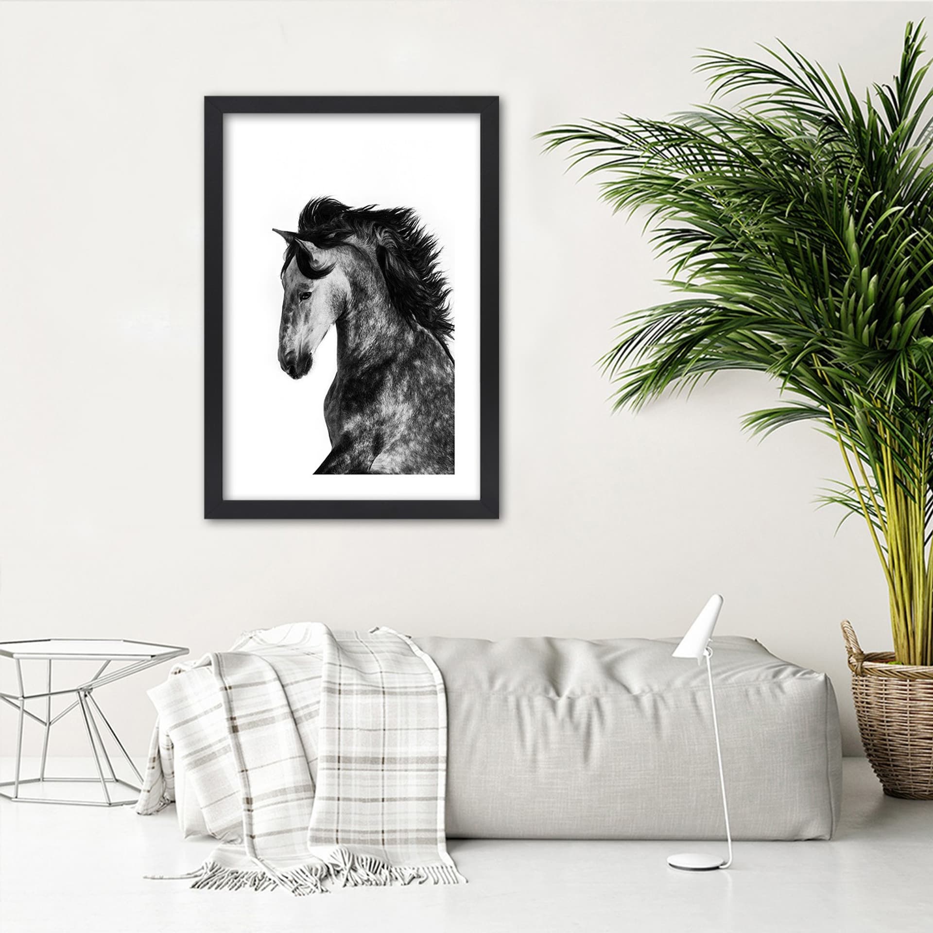 

Obraz w ramie, Dziki rumak (Rozmiar 30x45)