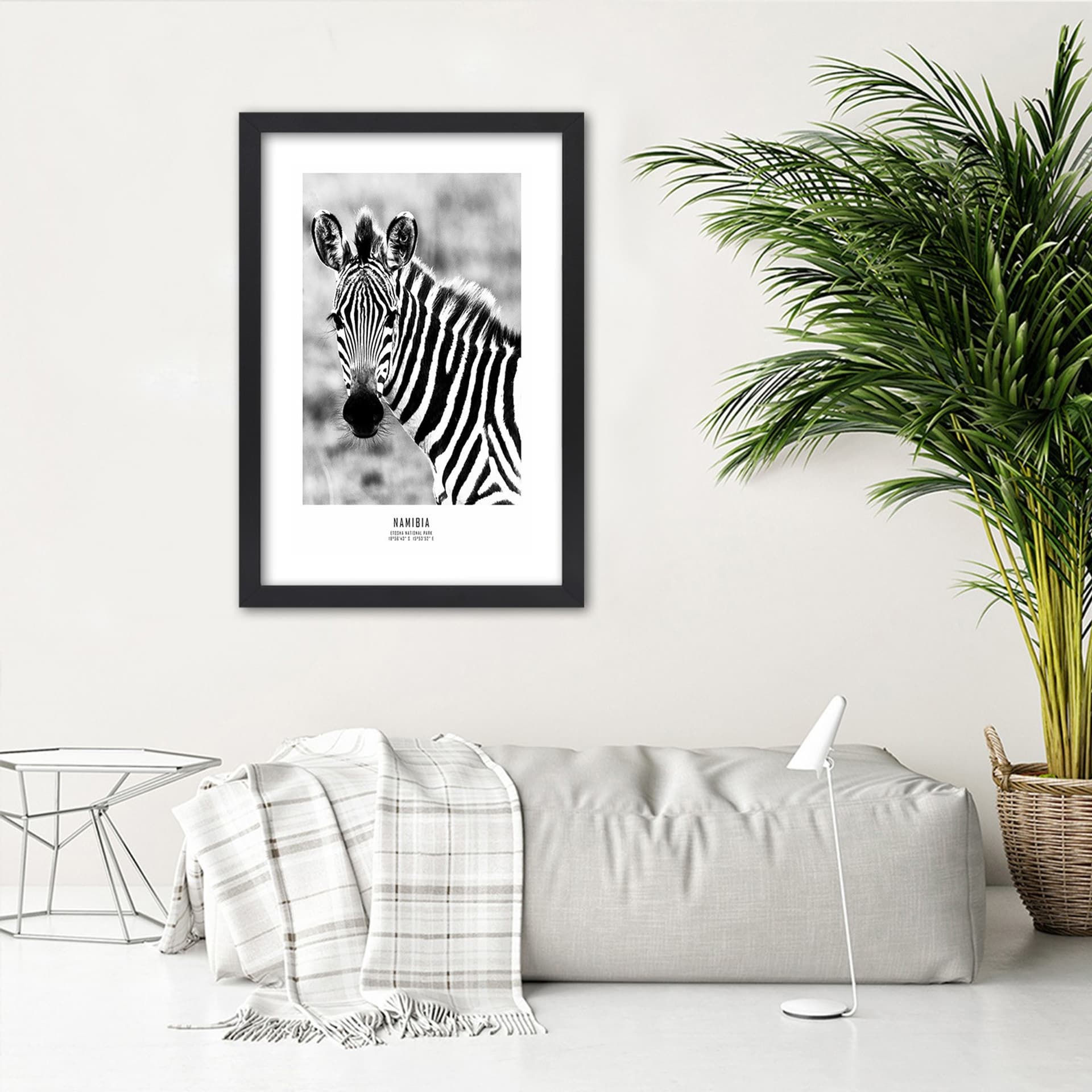

Obraz w ramie, Ciekawska zebra (Rozmiar 30x45)