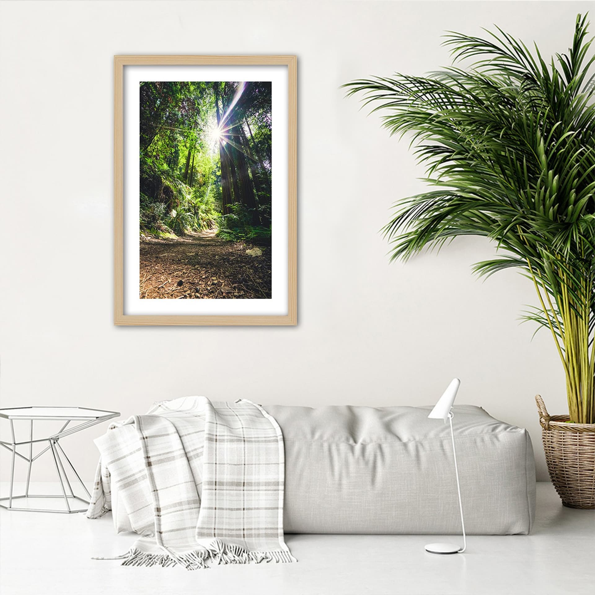 

Obraz w ramie, Ścieżka w gęstym lesie (Rozmiar 40x60)