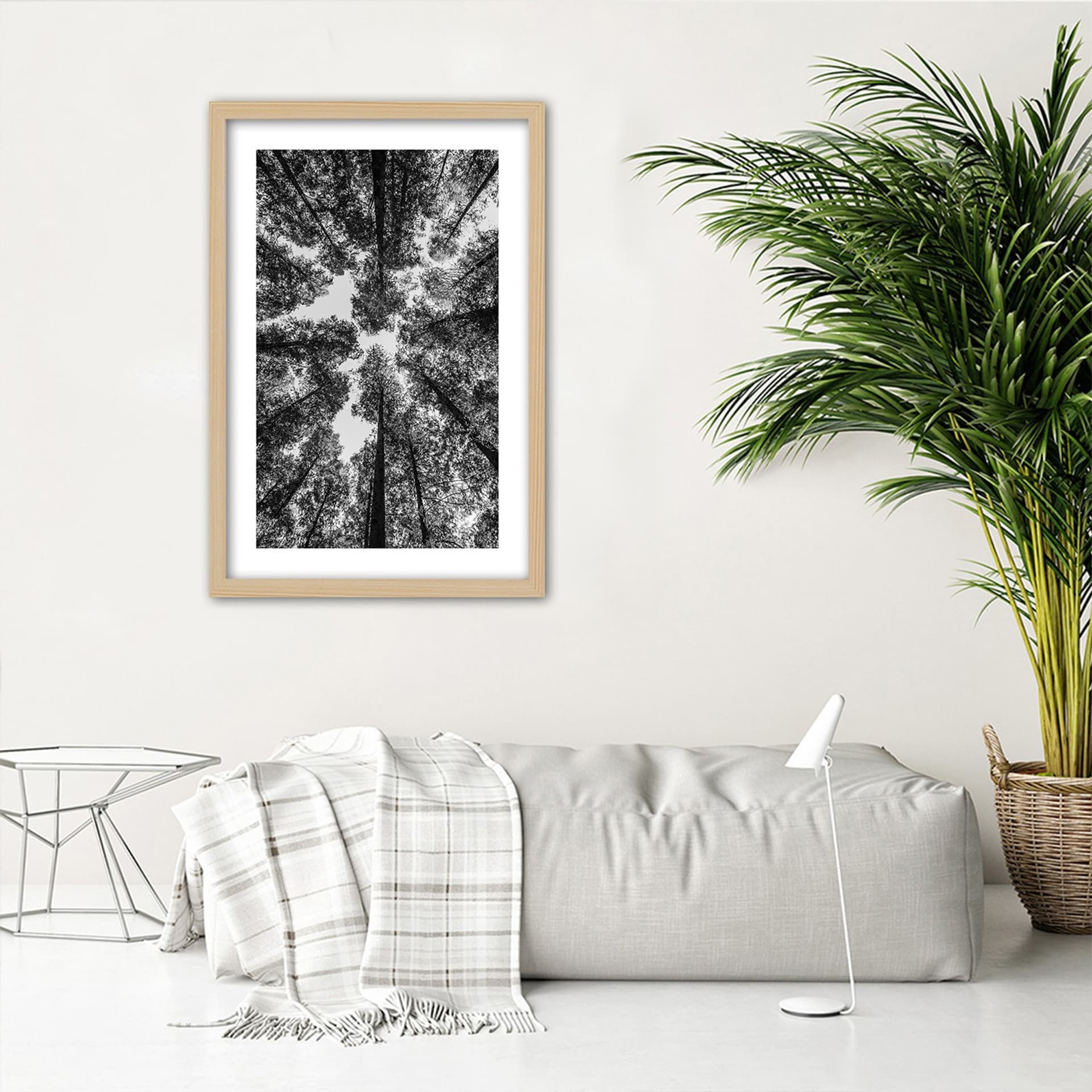 

Obraz w ramie, Korony drzew (Rozmiar 40x60)