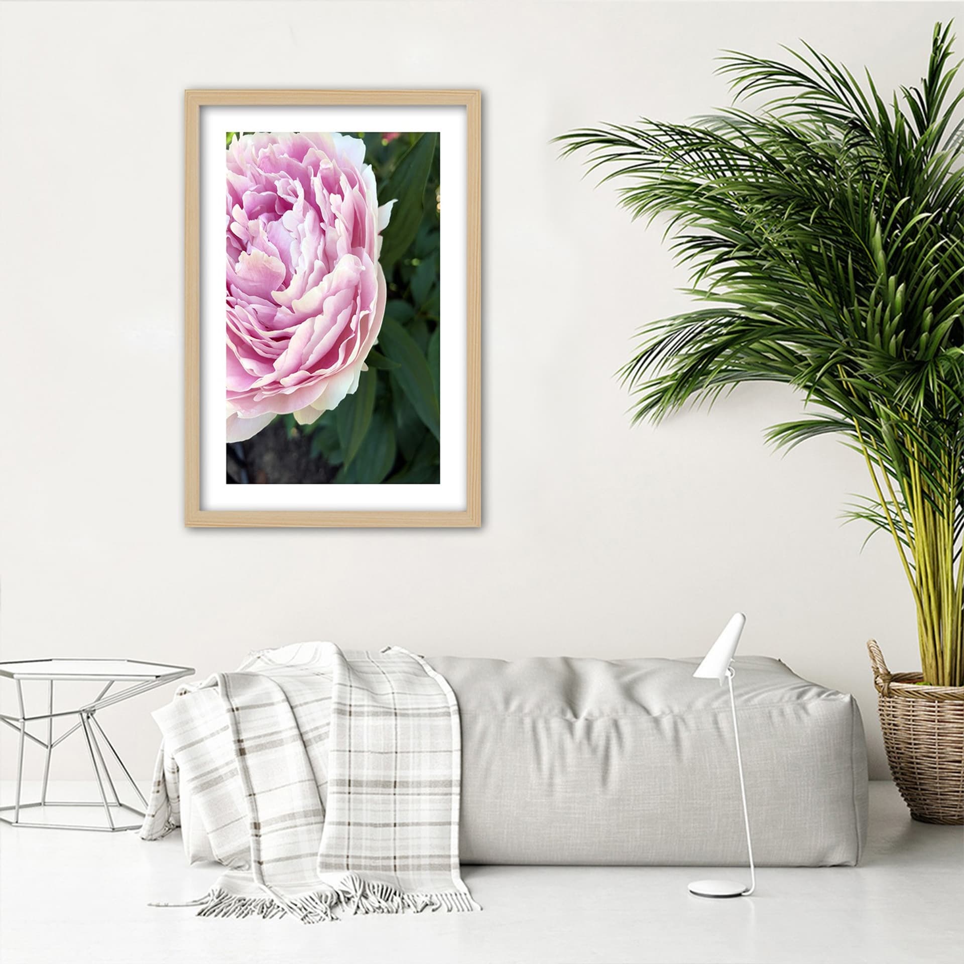 

Obraz w ramie, Śliczna różowa piwonia (Rozmiar 30x45)