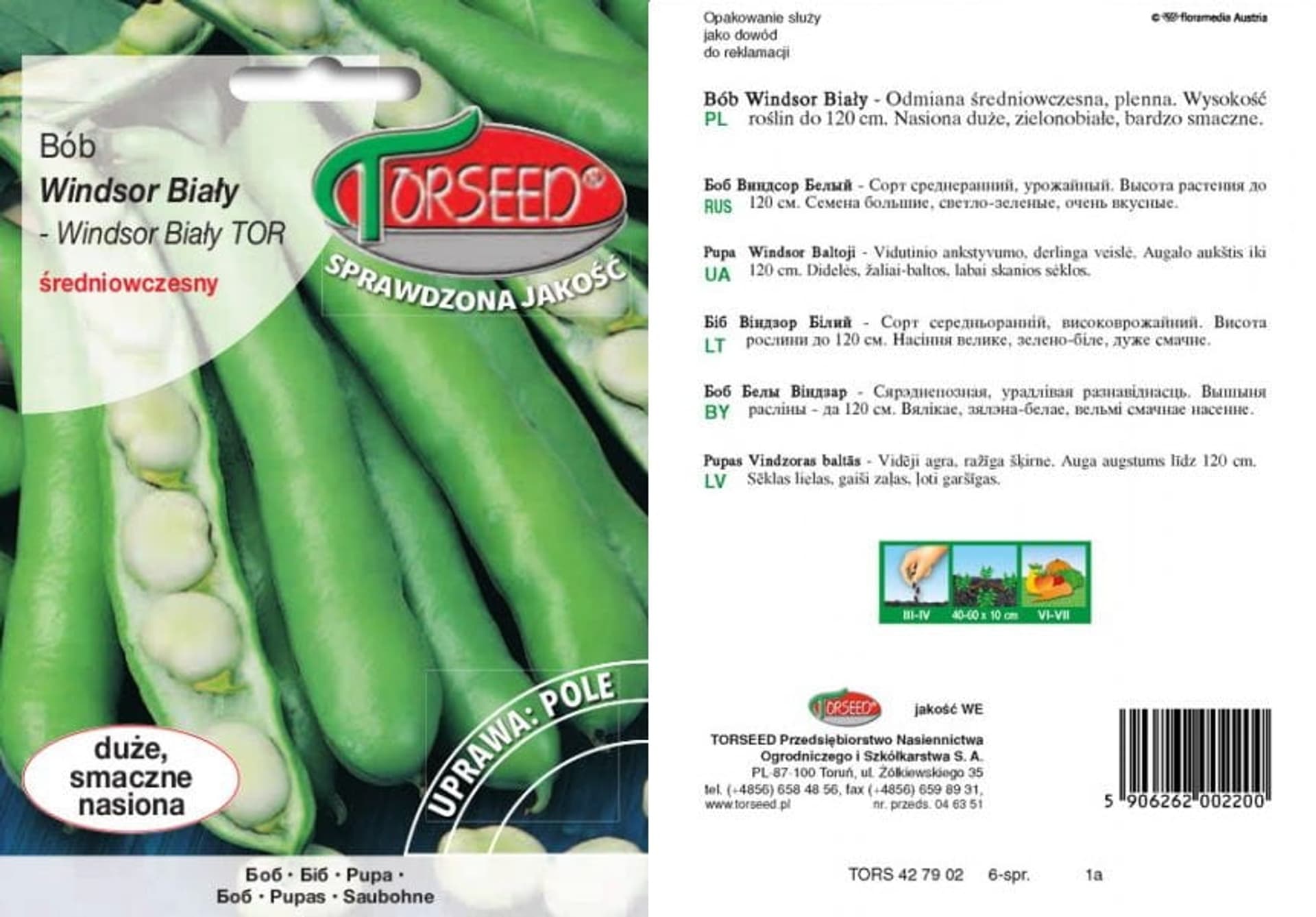 Nasiona Bób Windsor Biały Torseed 50g