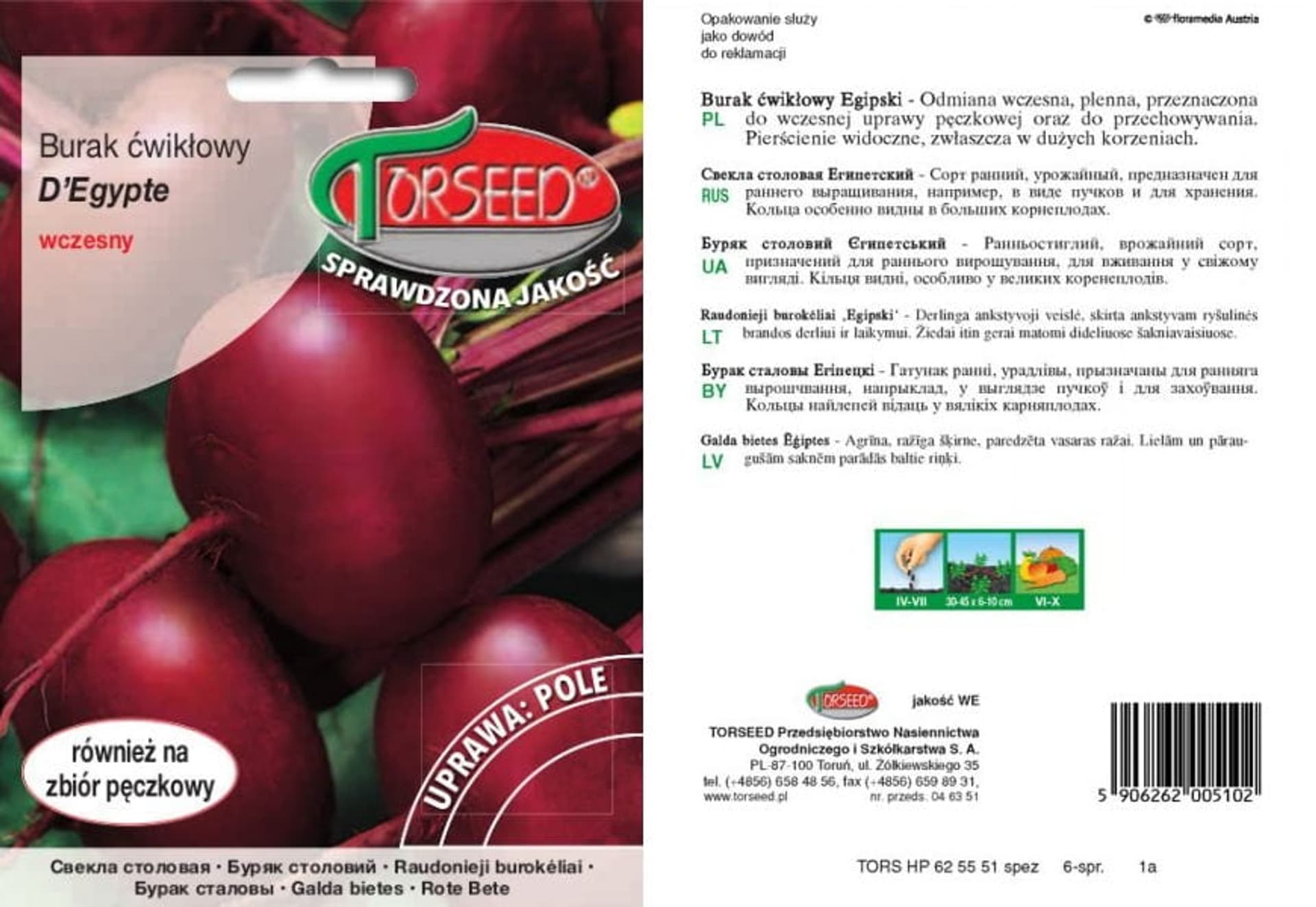 

Nasiona Burak ćwikłowy D'Egypte Torseed 15g