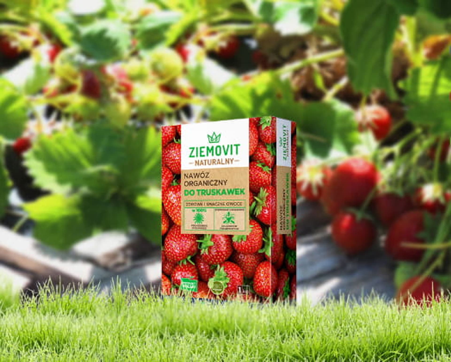 

Nawóz organiczny do truskawek Ziemovit 1 kg