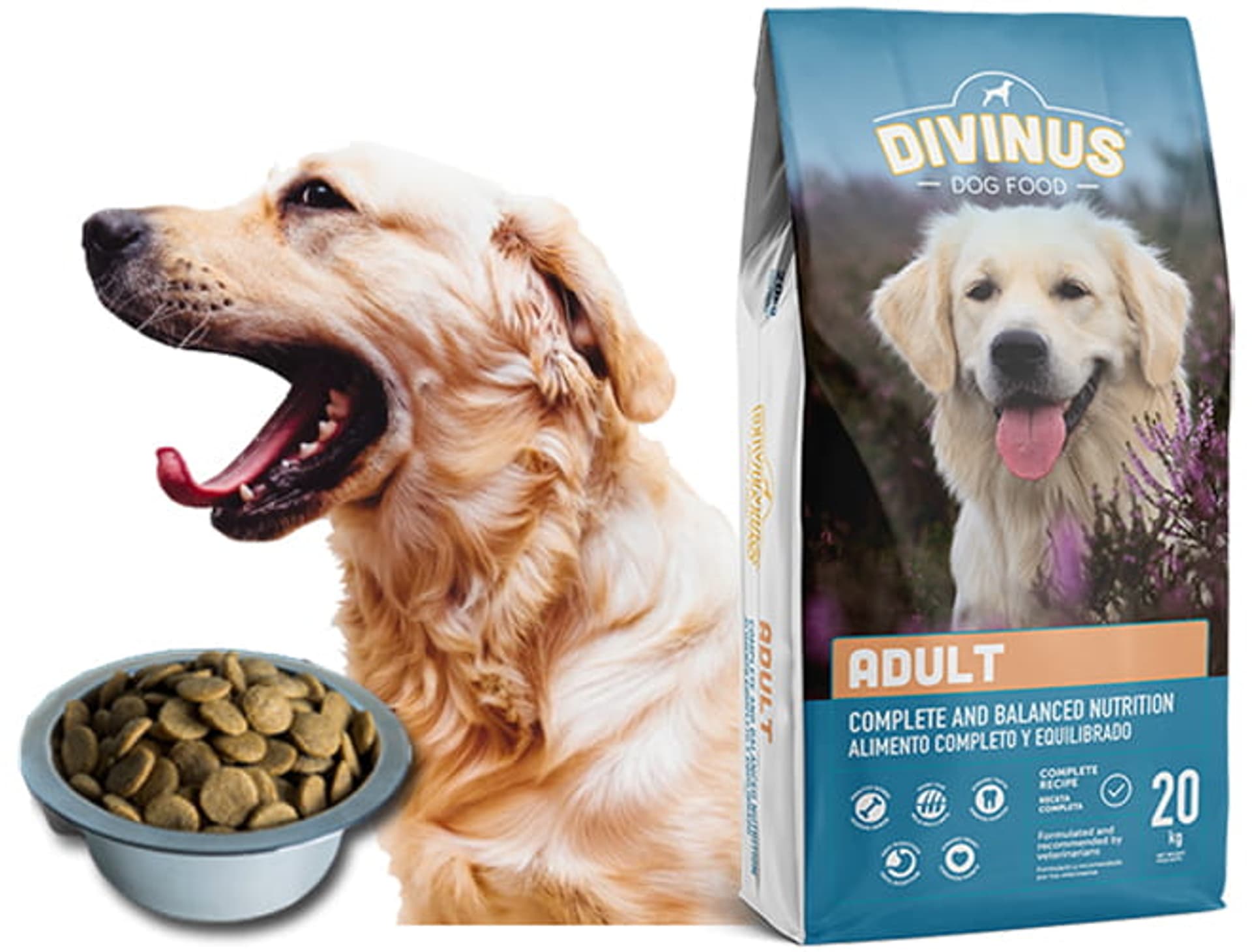 

Karma labradora, doga, owczarka Divinus Adult 20kg