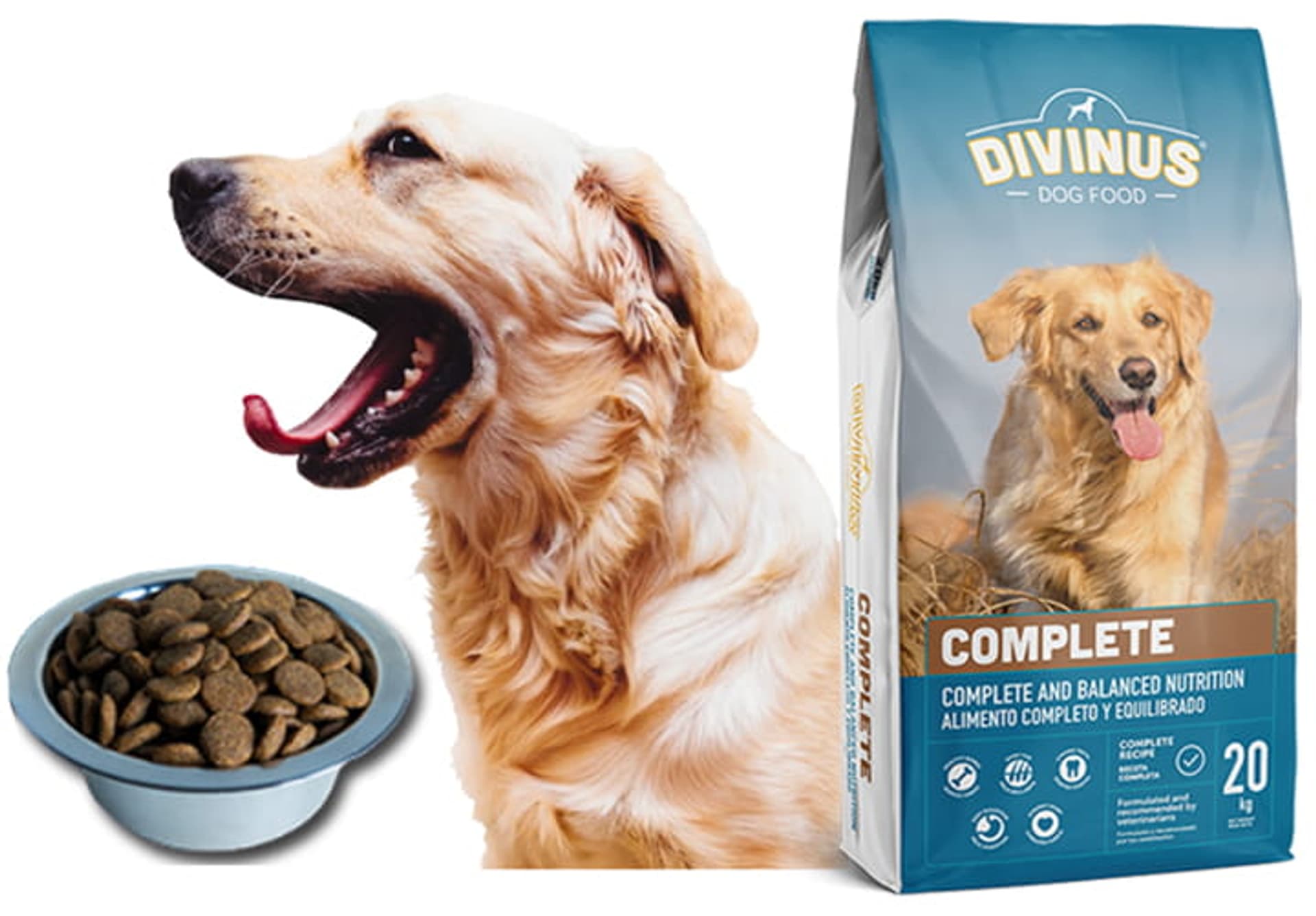 

Karma dla labradora. Kurczak Divinus Complete 20kg